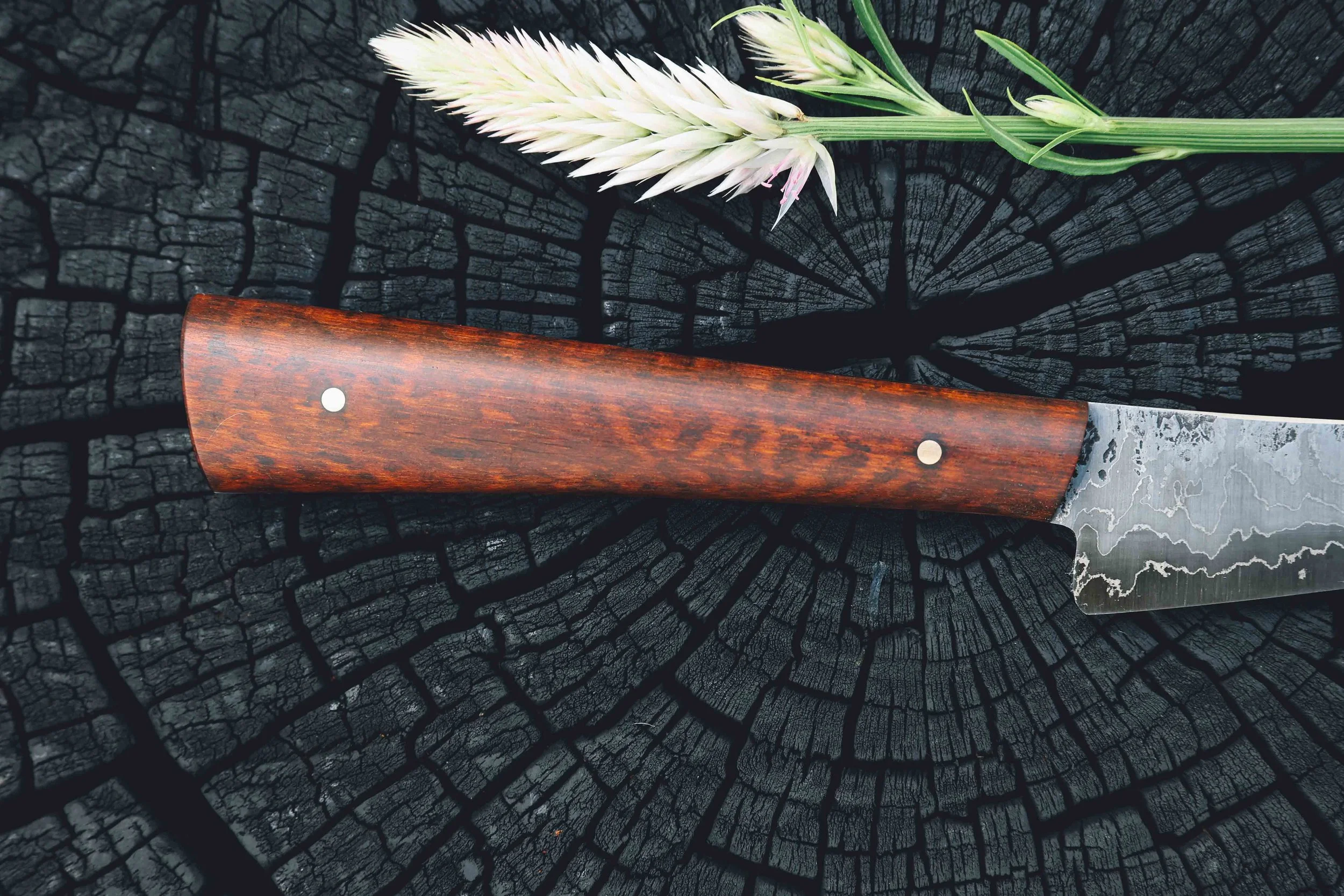 snakewood paring cask strength-6.jpg
