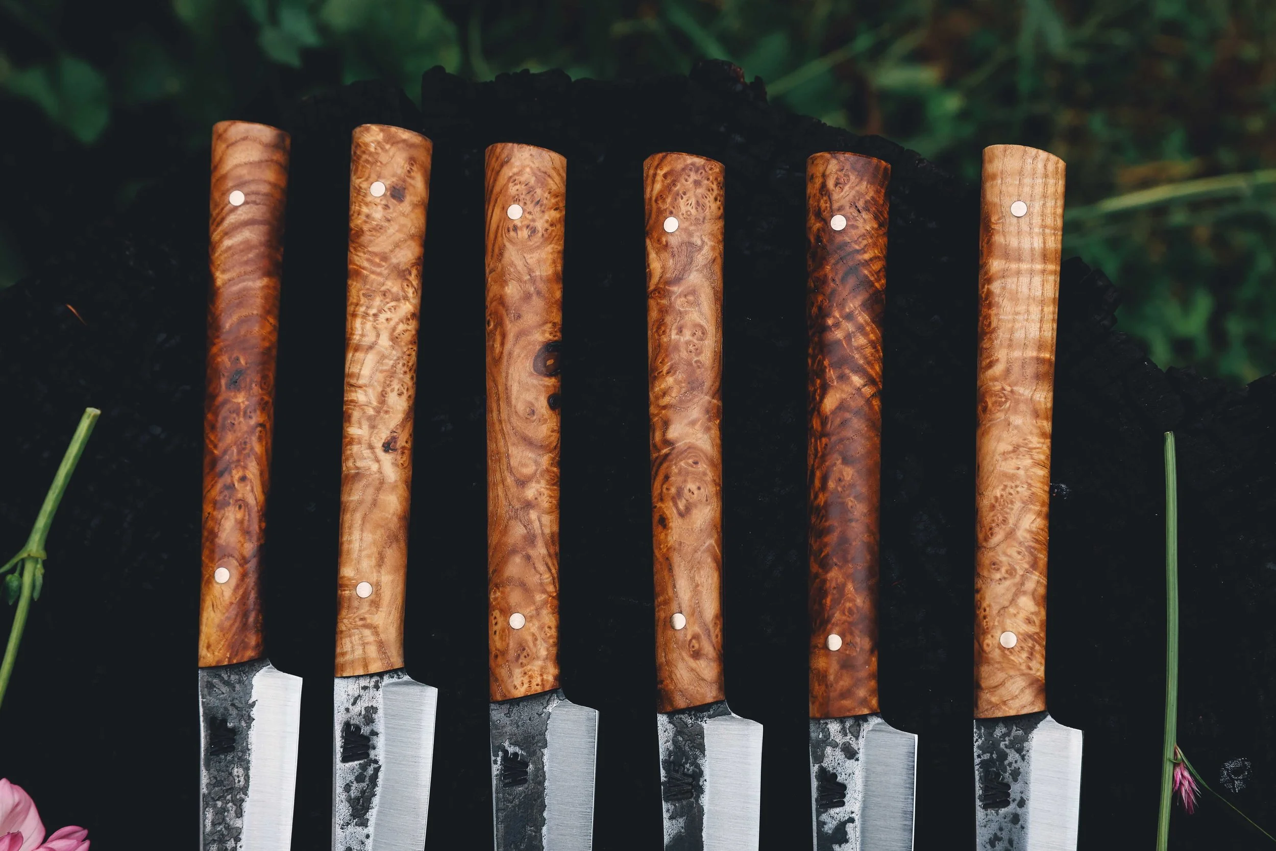 ash burl set of 6-3.jpg