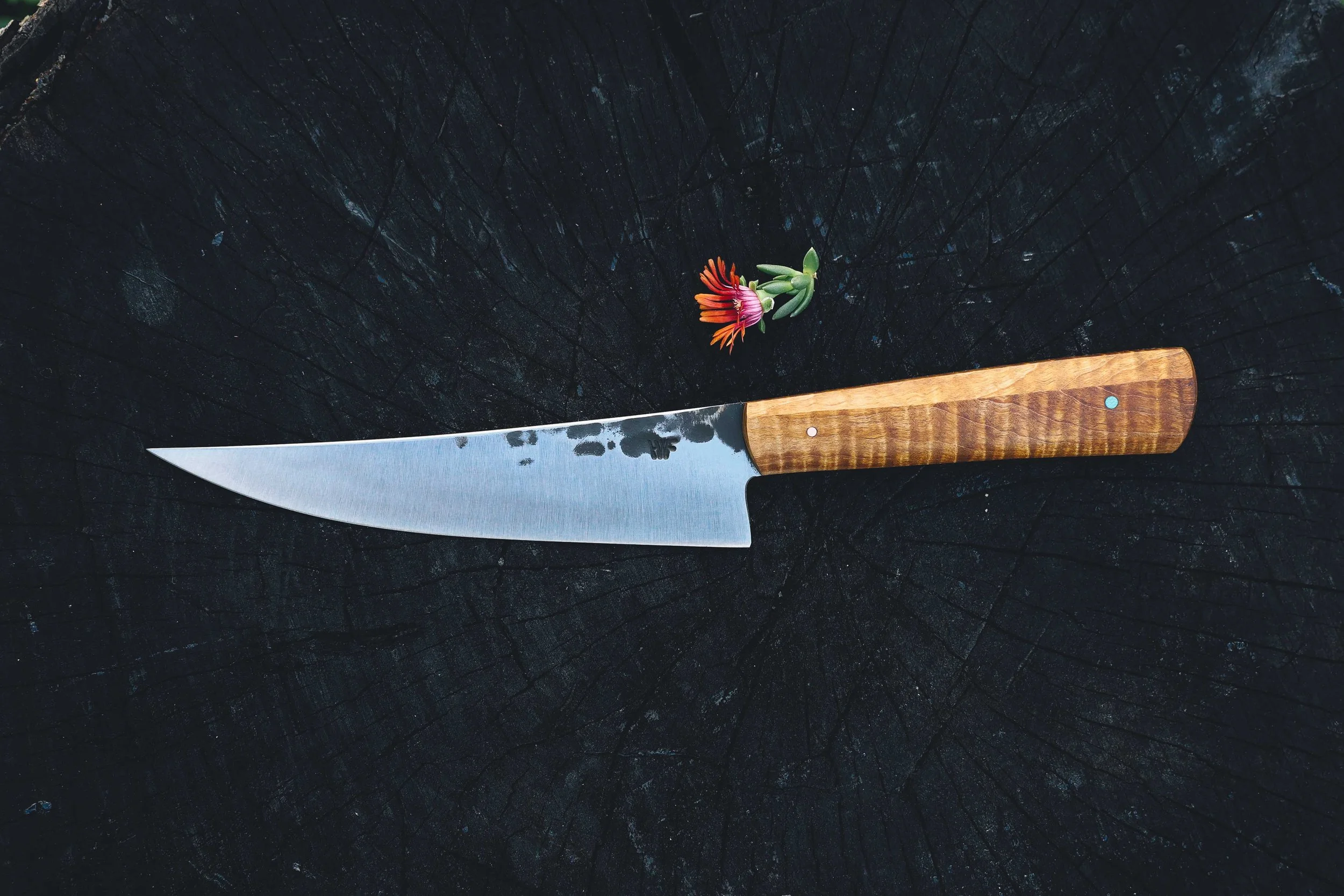 maple petty_.jpg