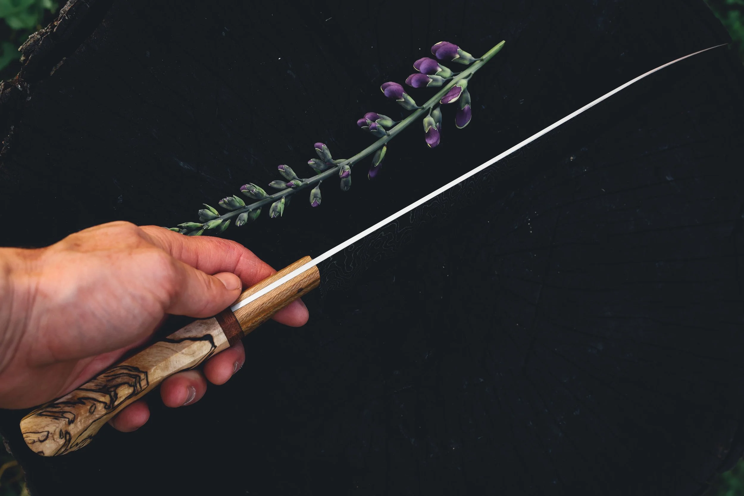 cask strength gyuto spalted-7.jpg