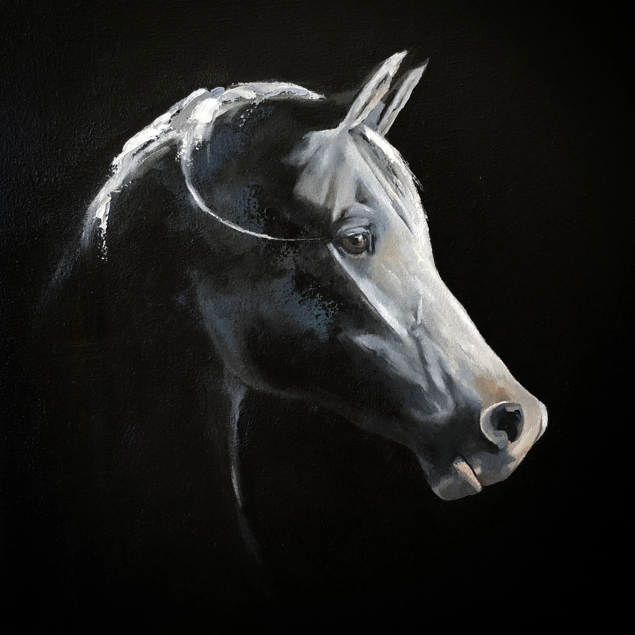 “Musket” Oil on canvas. 60cm x 60cm. Prints available on Saatchi Art .