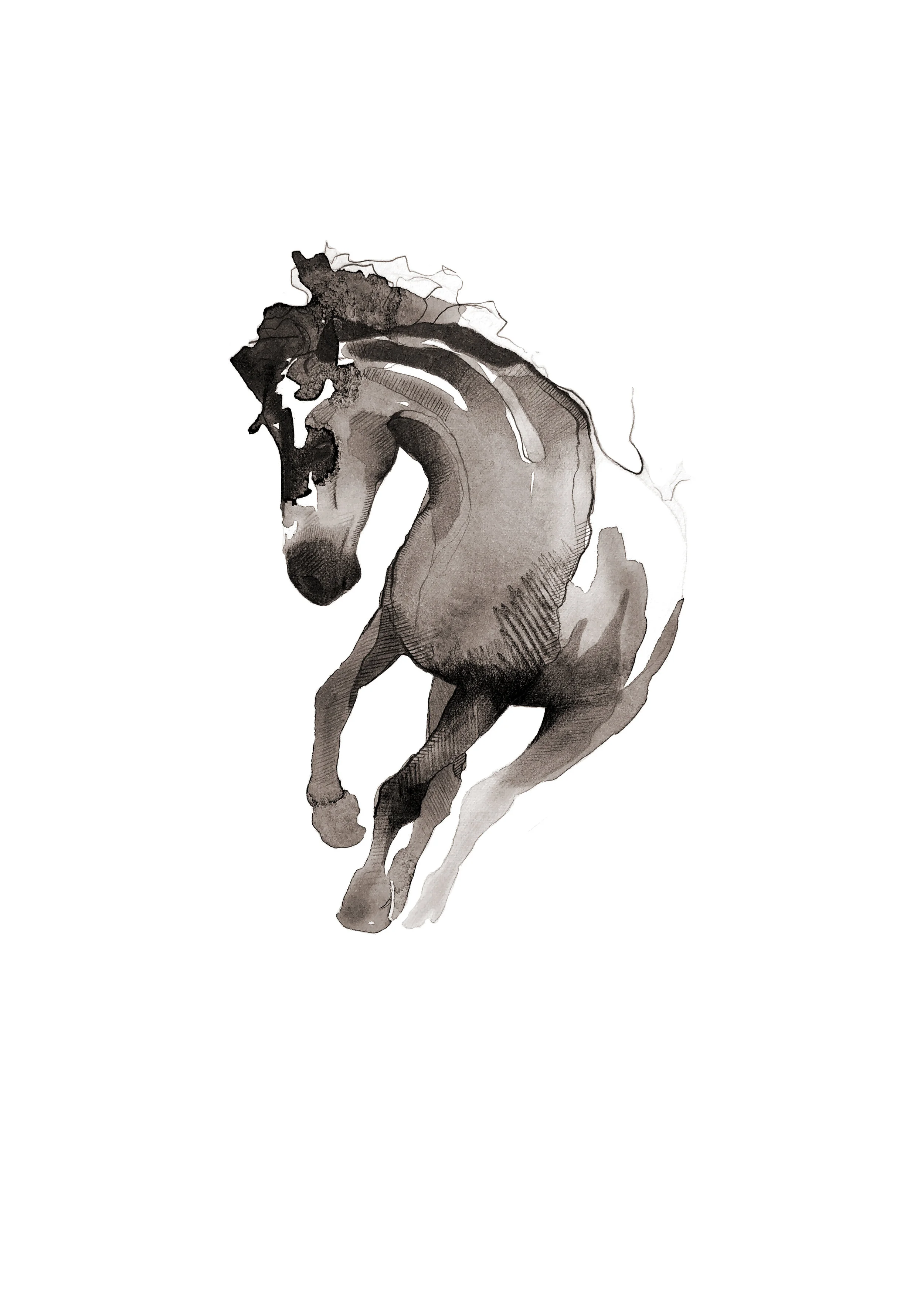 “Equestrian Movement 1” Watercolour and pencil on Fabriano. 34,5cm x 25cm. Available on Saatchi Art .