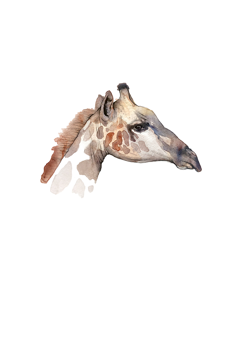 giraffe A3 web.jpg
