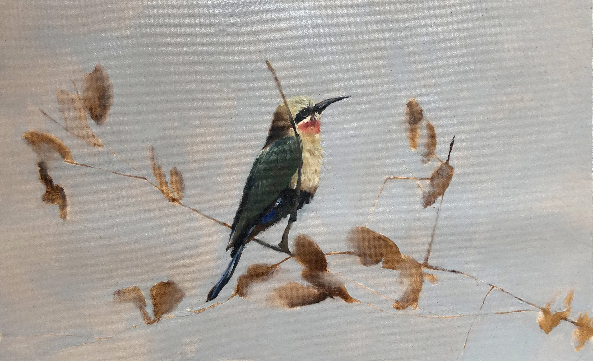White Fronted Beeater 27cm x 17cm.jpg