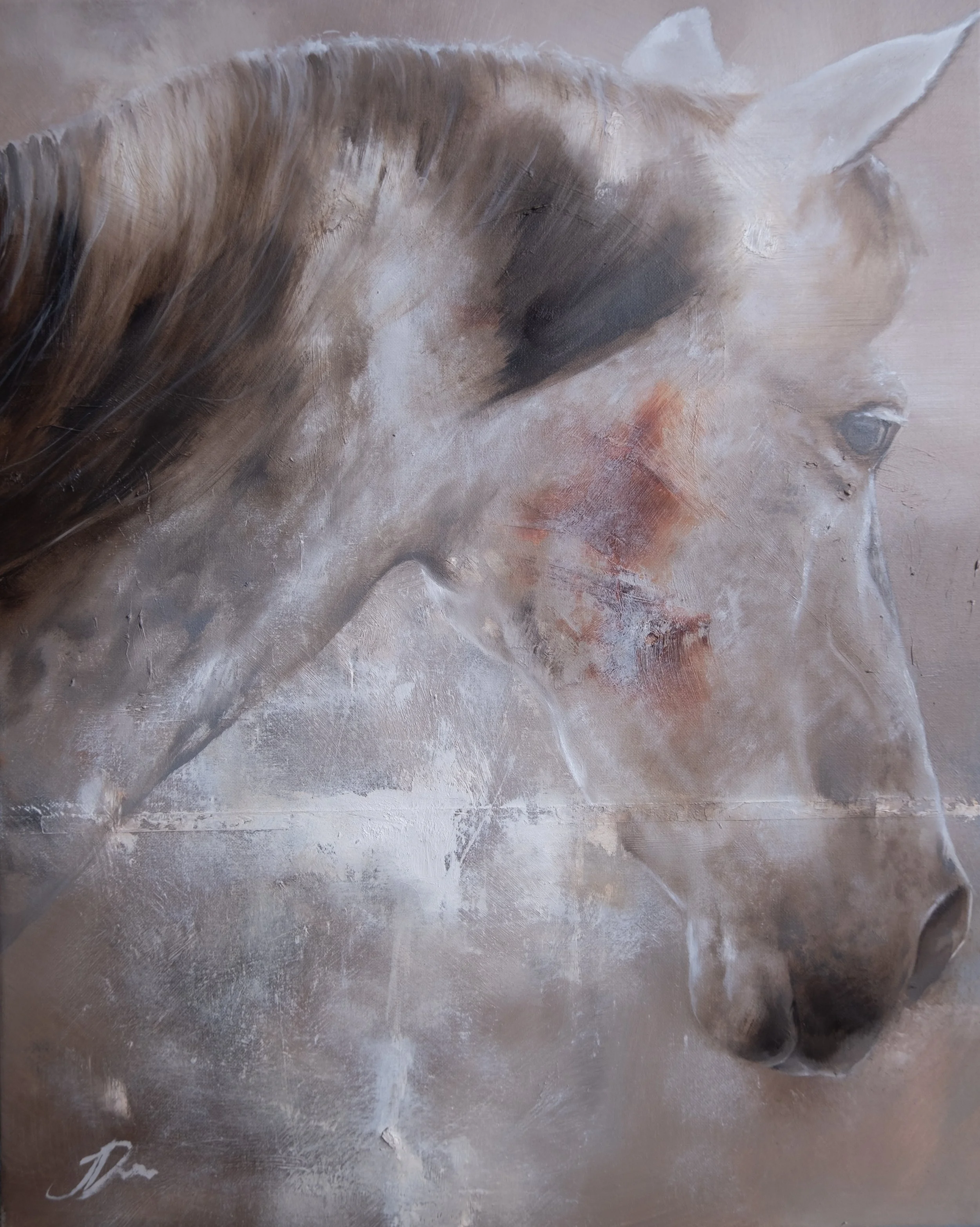 Confidant 40cm x 50cm.jpg