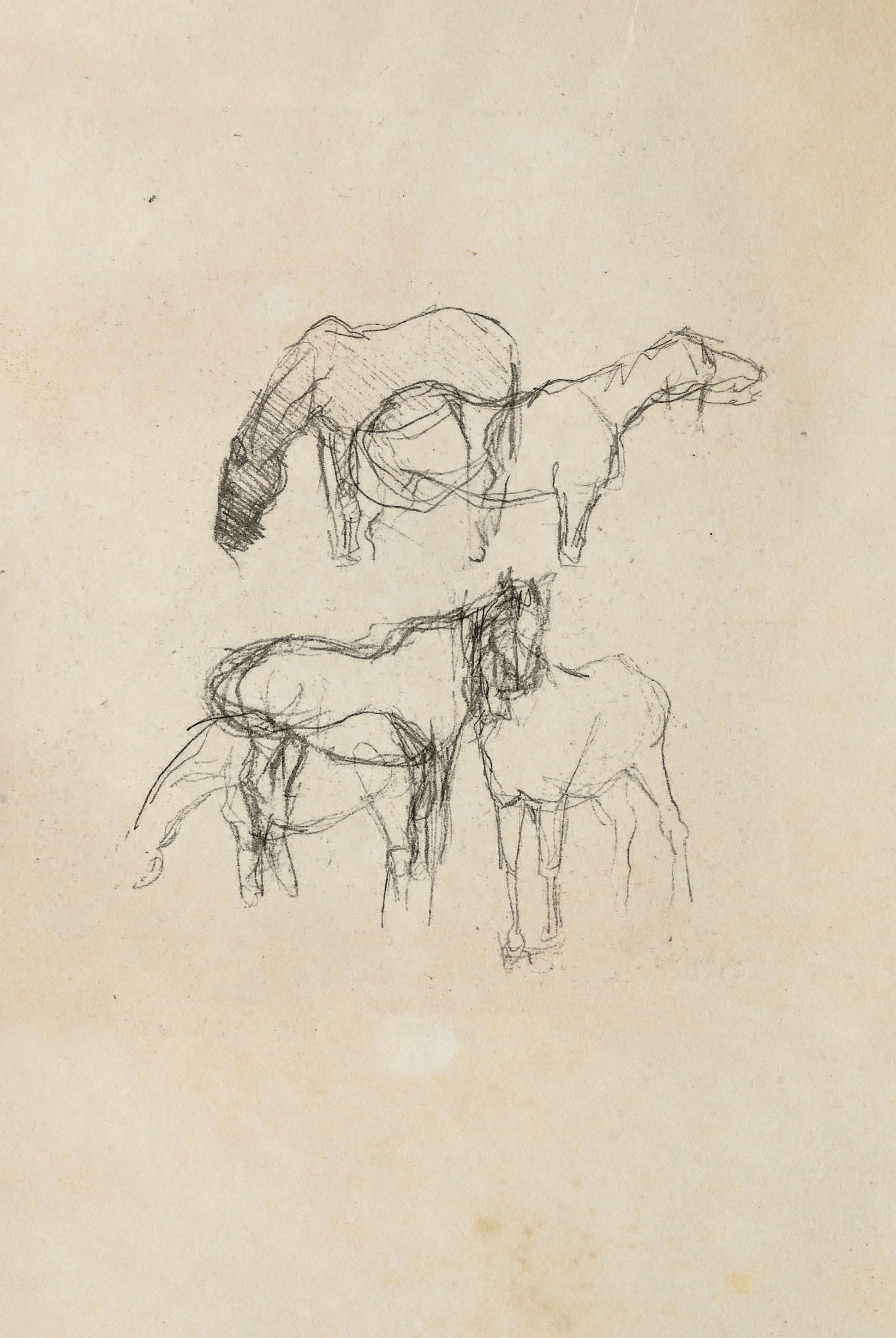Sketchbook sample 5 - horses.jpg