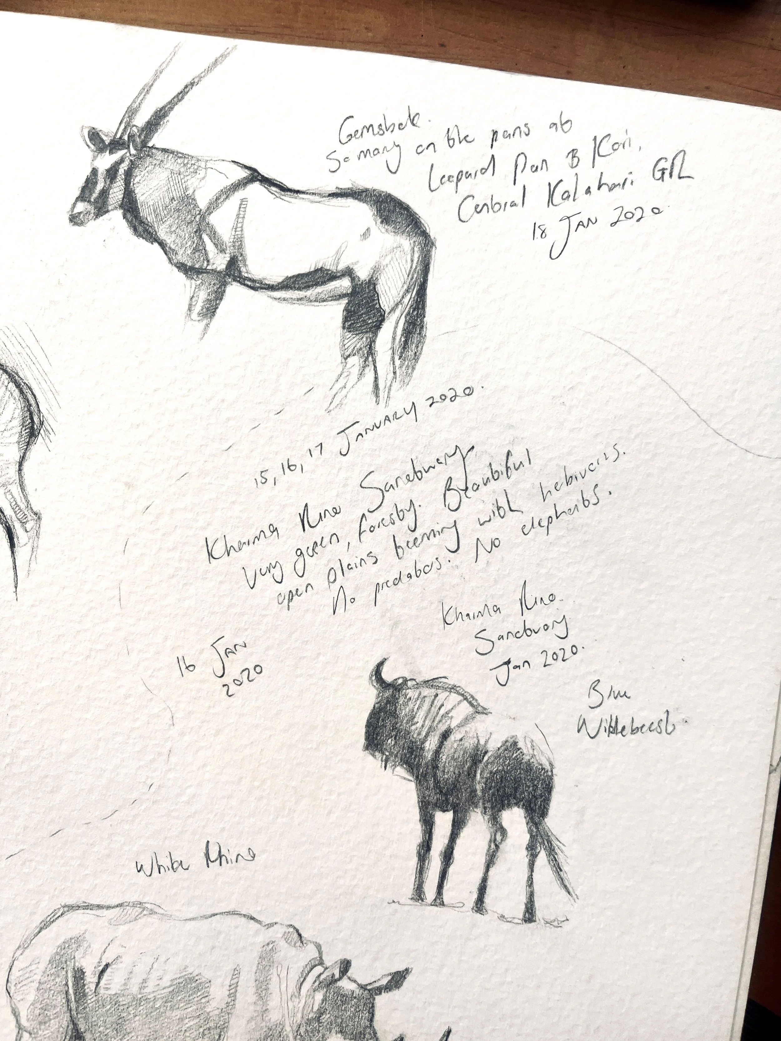 Sketchbook sample.jpg