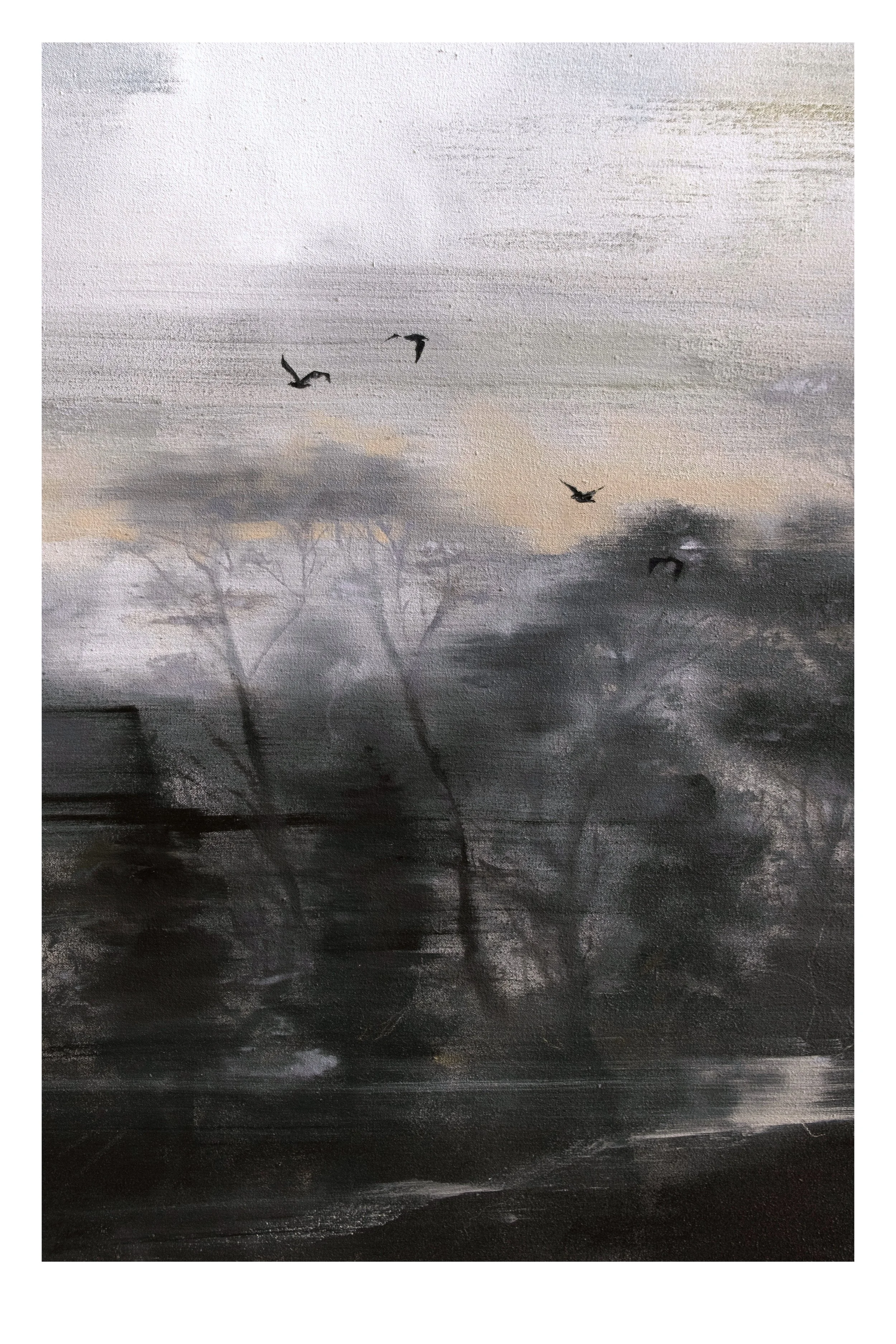 For Advertising 2 copy.jpg