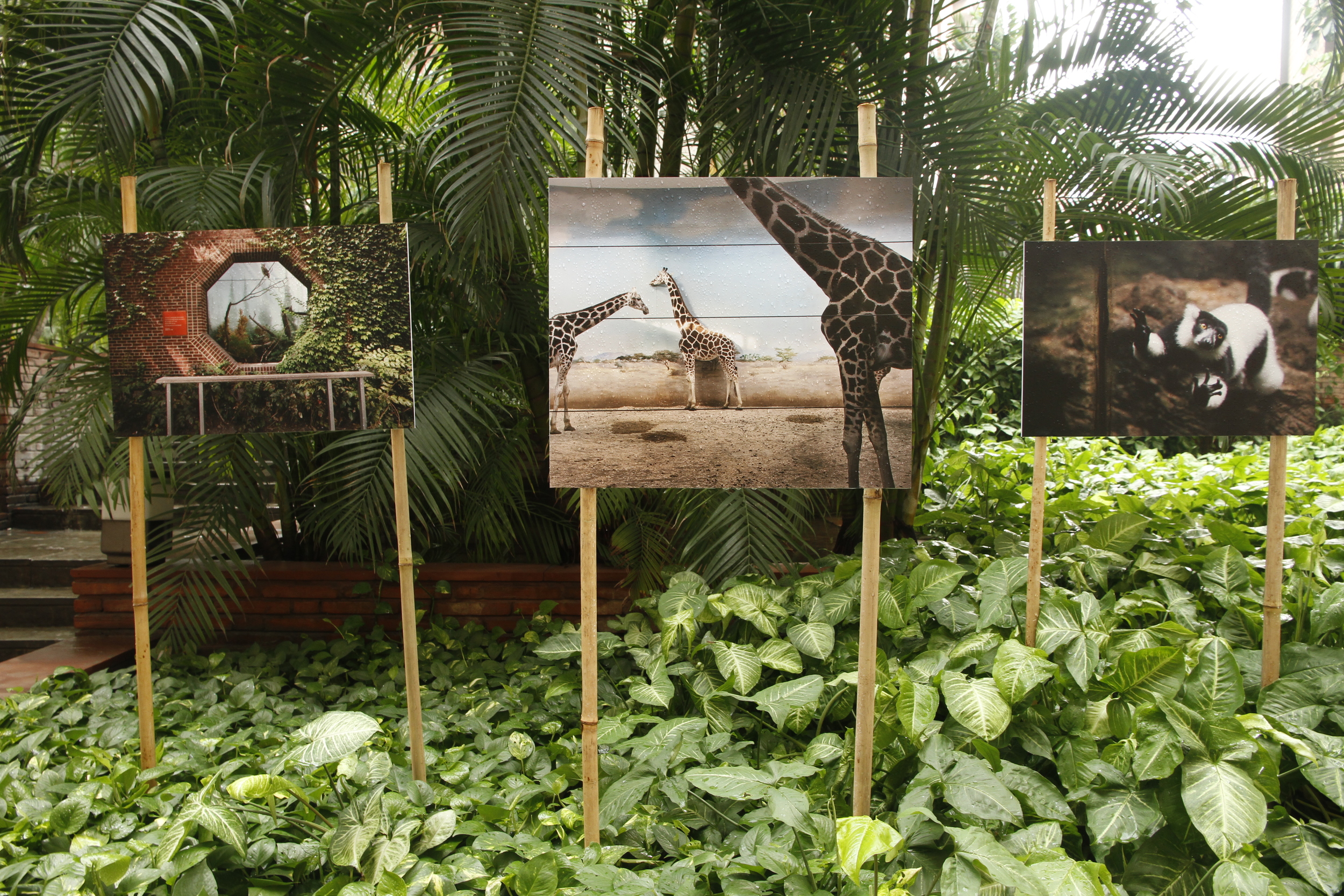 Sayan D_.29092013 _DPF_0021.JPG