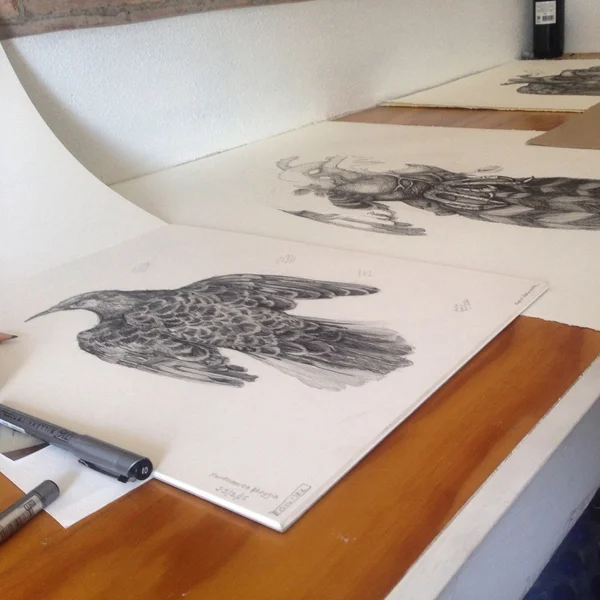 Jugglers' Artist in Residence - Sharon McKenzie