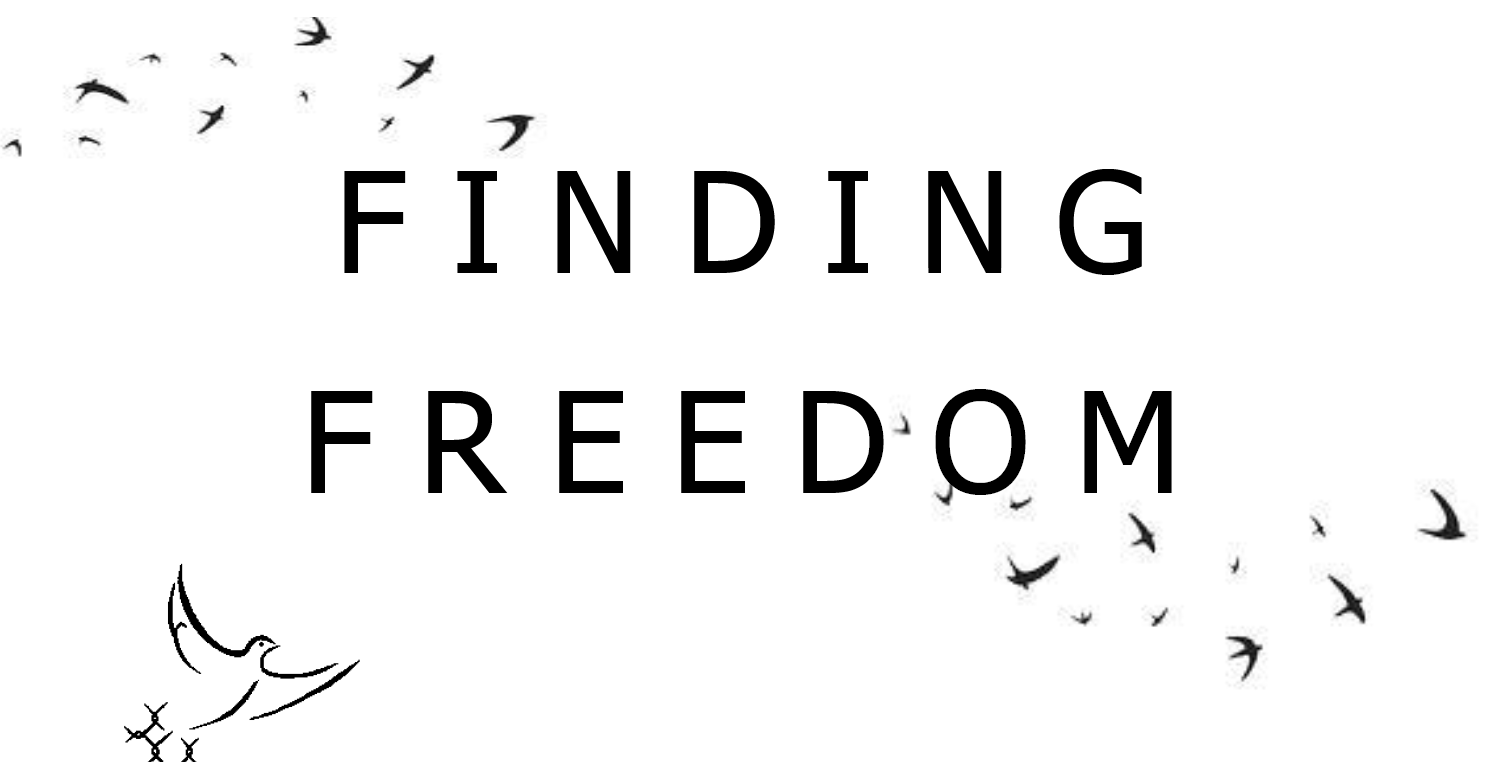 Finding Freedom Call for entries BANNER image.png