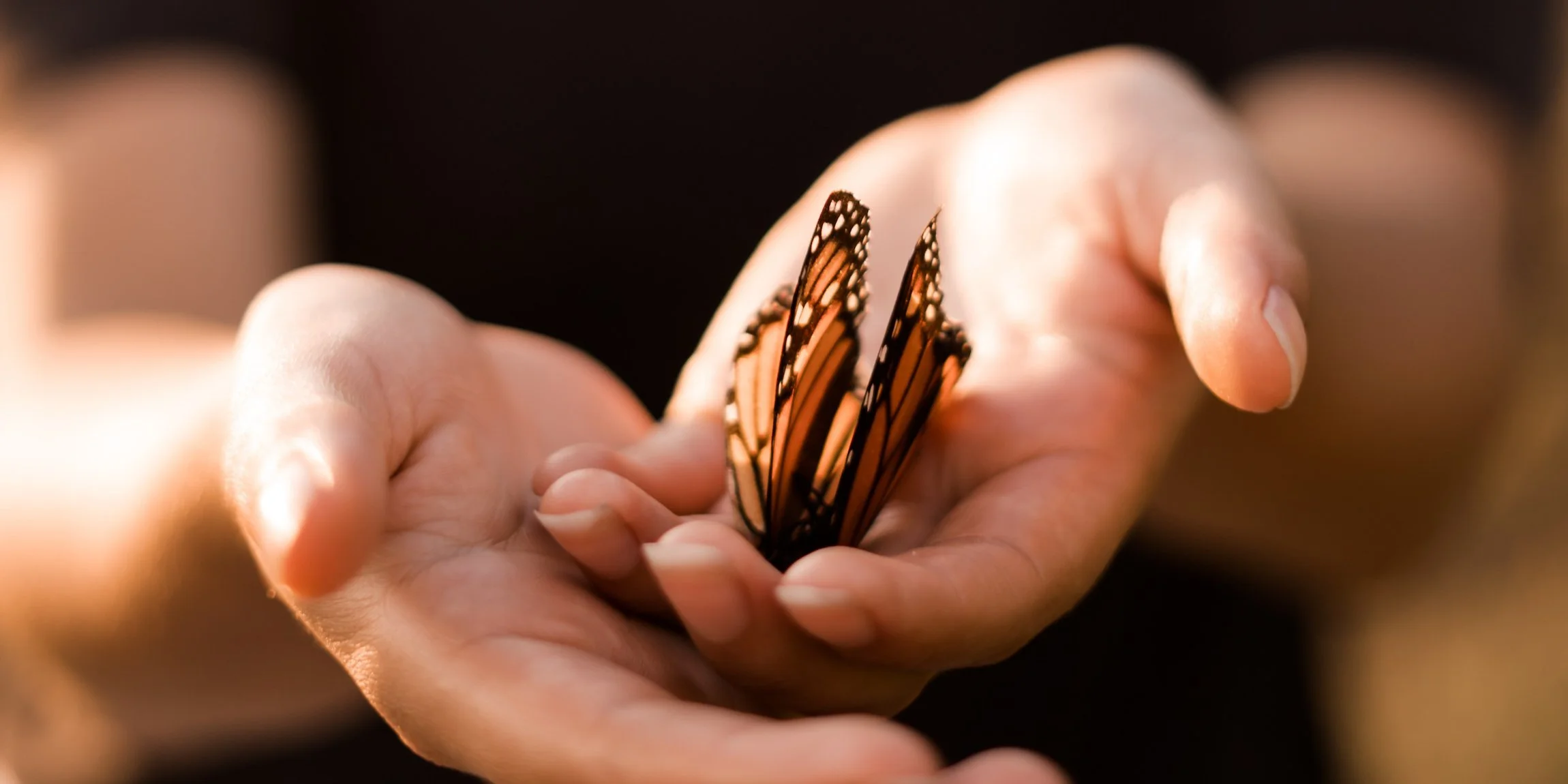 Ahimsa: The Yogic Way Of Being Kind