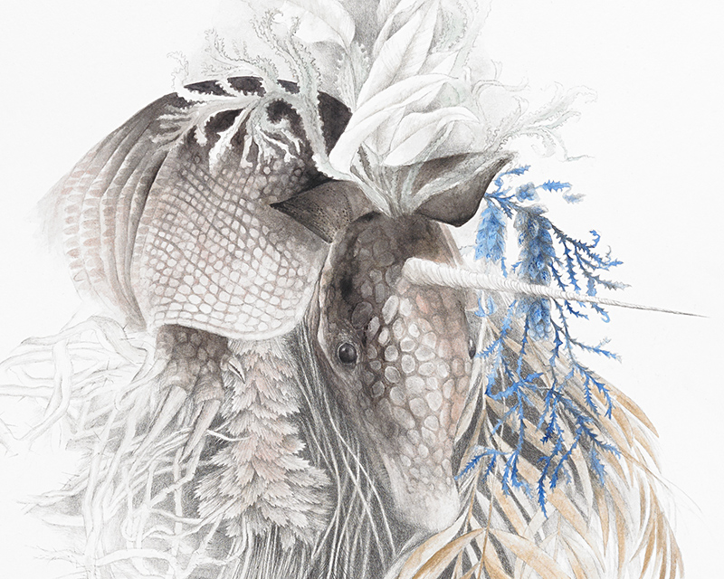  "Herbarium" (detail) by Maria Trillidou 