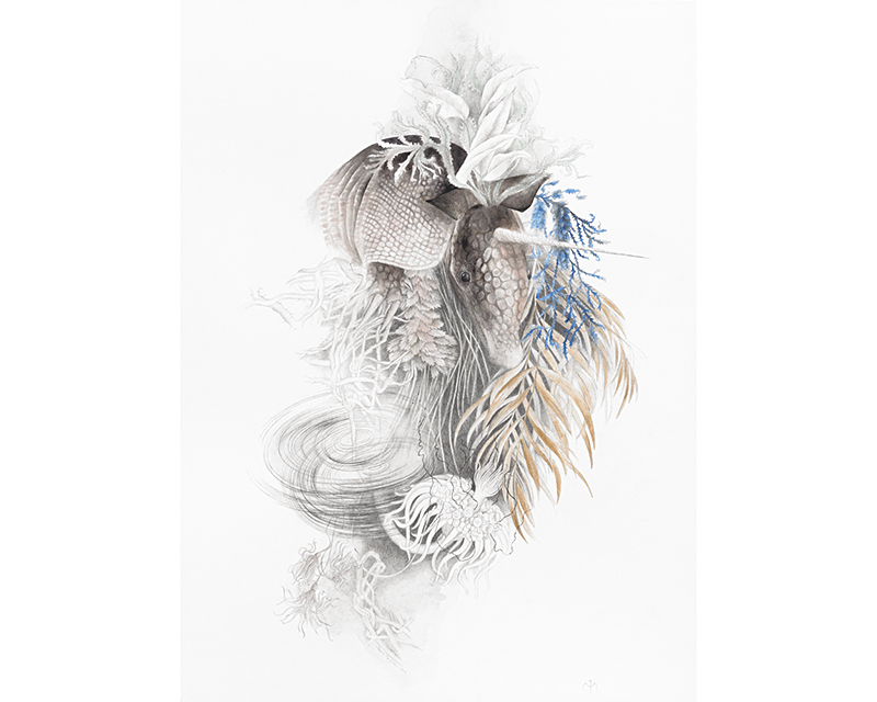  "Herbarium" by Maria Trillidou 