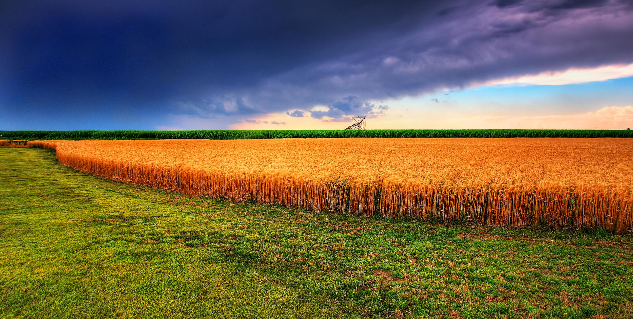    Forged In America's Heartland   