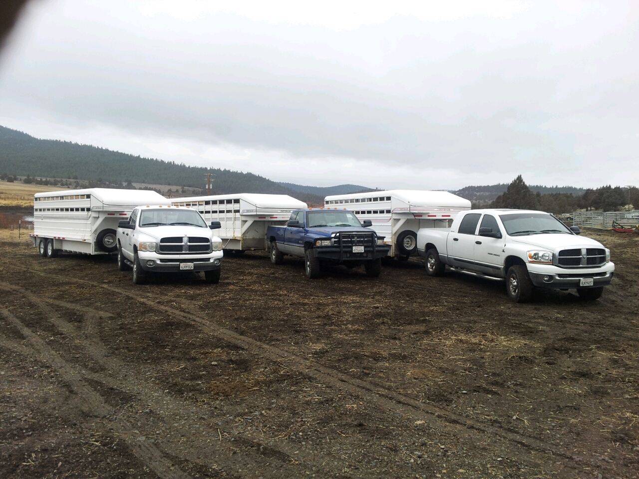   True Dependability    "After 14 years of dependability from our first Donahue trailer, we have added two more to the collection!"   J. McCulley MU Ranch (Canby, CA) 