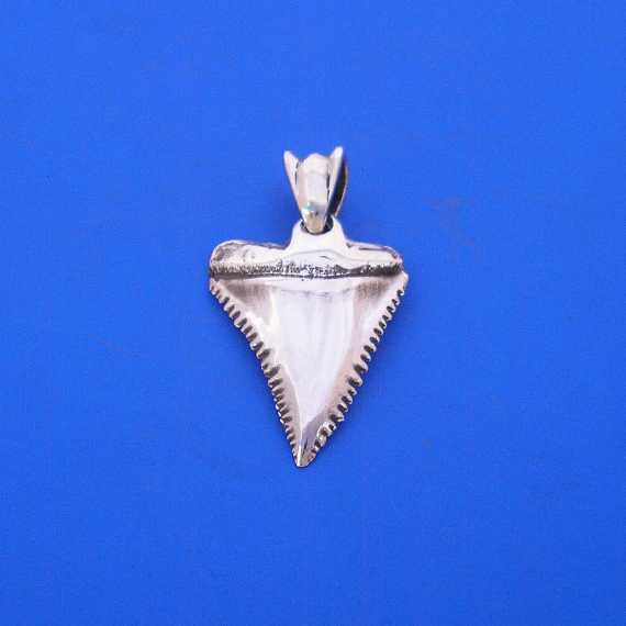 SharkToothPendant570.JPG
