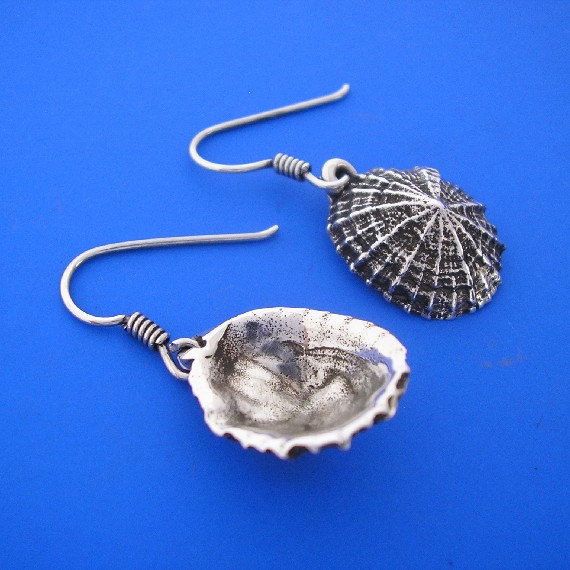 Limpets570.jpg