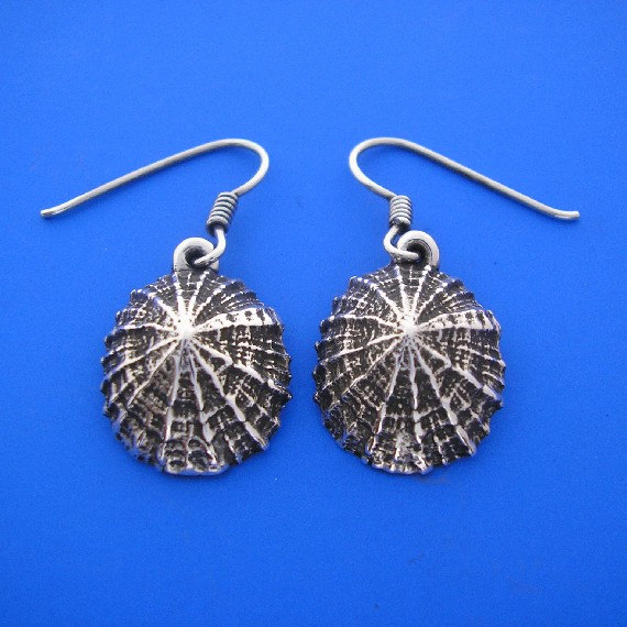 Limpet570.jpg