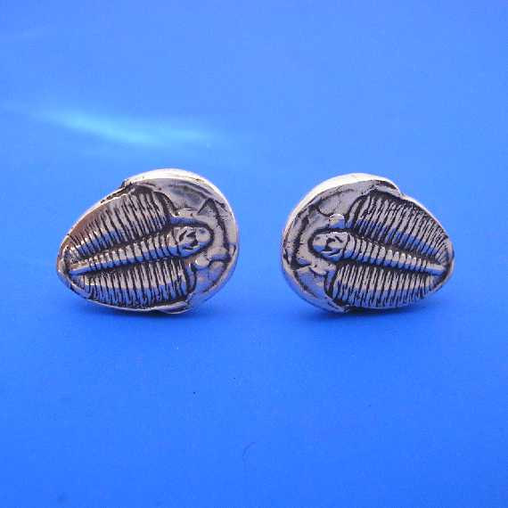 TrilobitStud570 (2).jpg