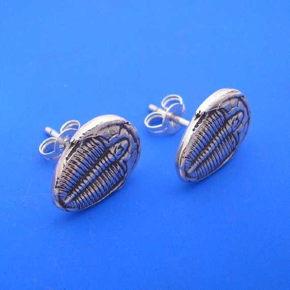 TrilobitStud570 (4).jpg