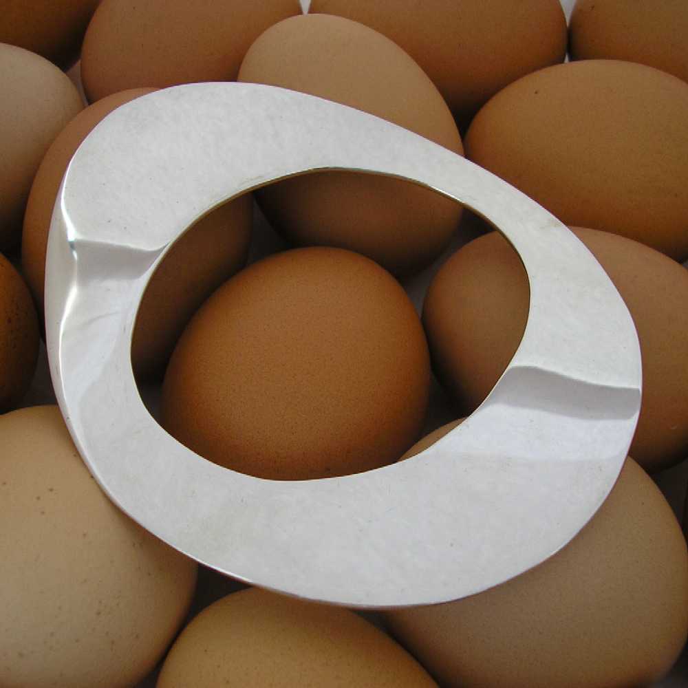 EggBangleonEgg.JPG