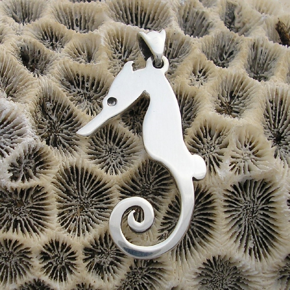 SeahorseOnNautalis.jpg