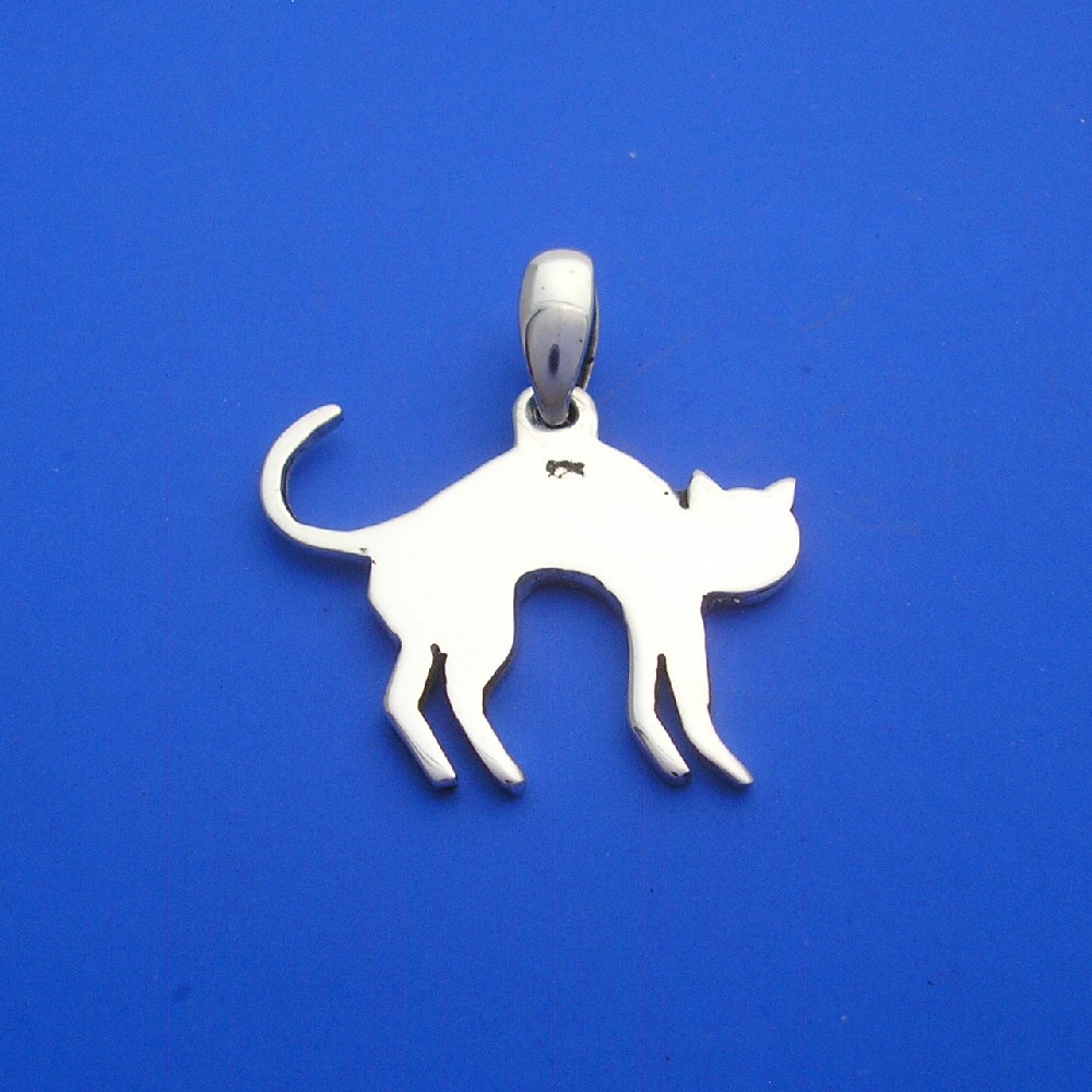 CatScaredPendantBluesss1000.jpg