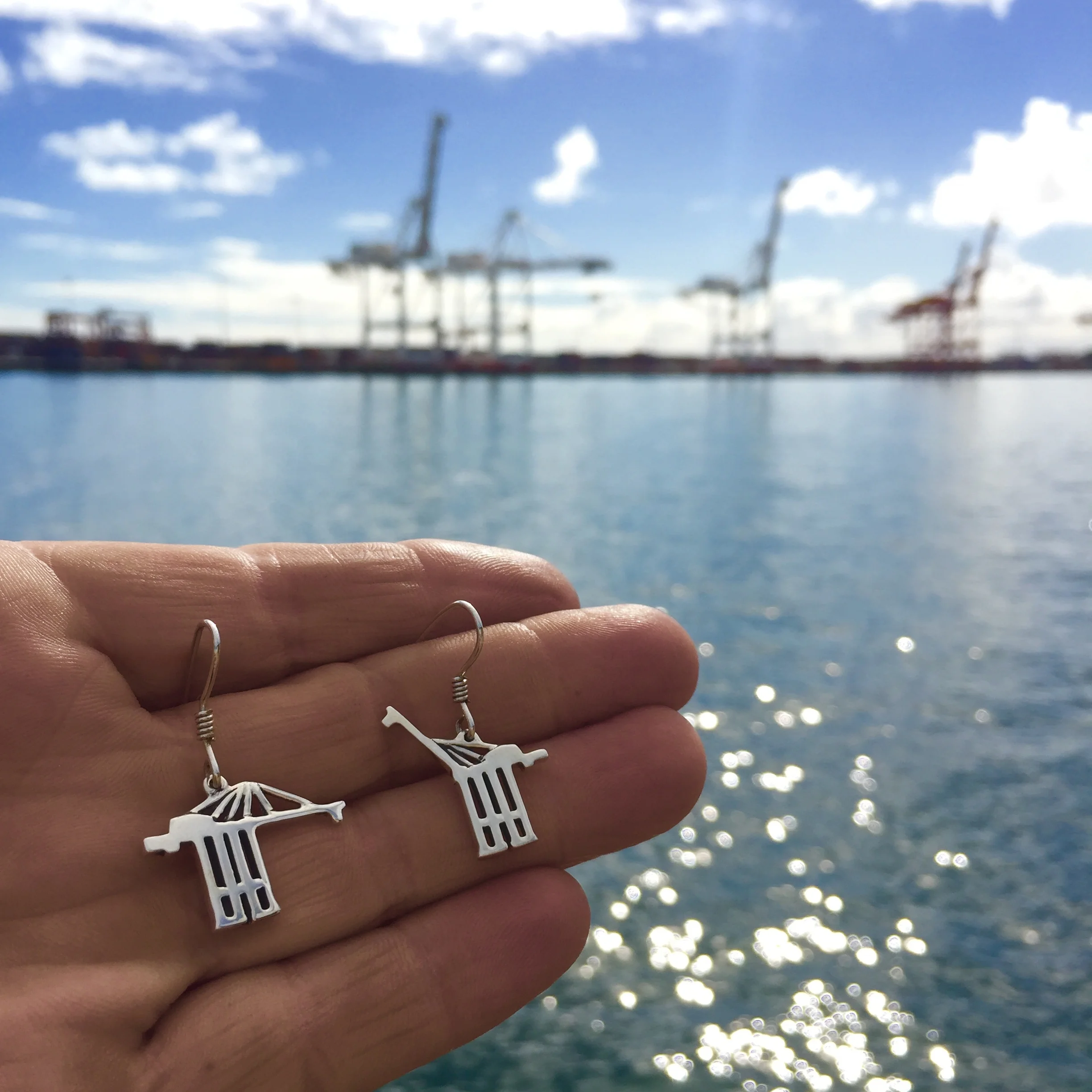 Cranes Up and Down (2).jpg