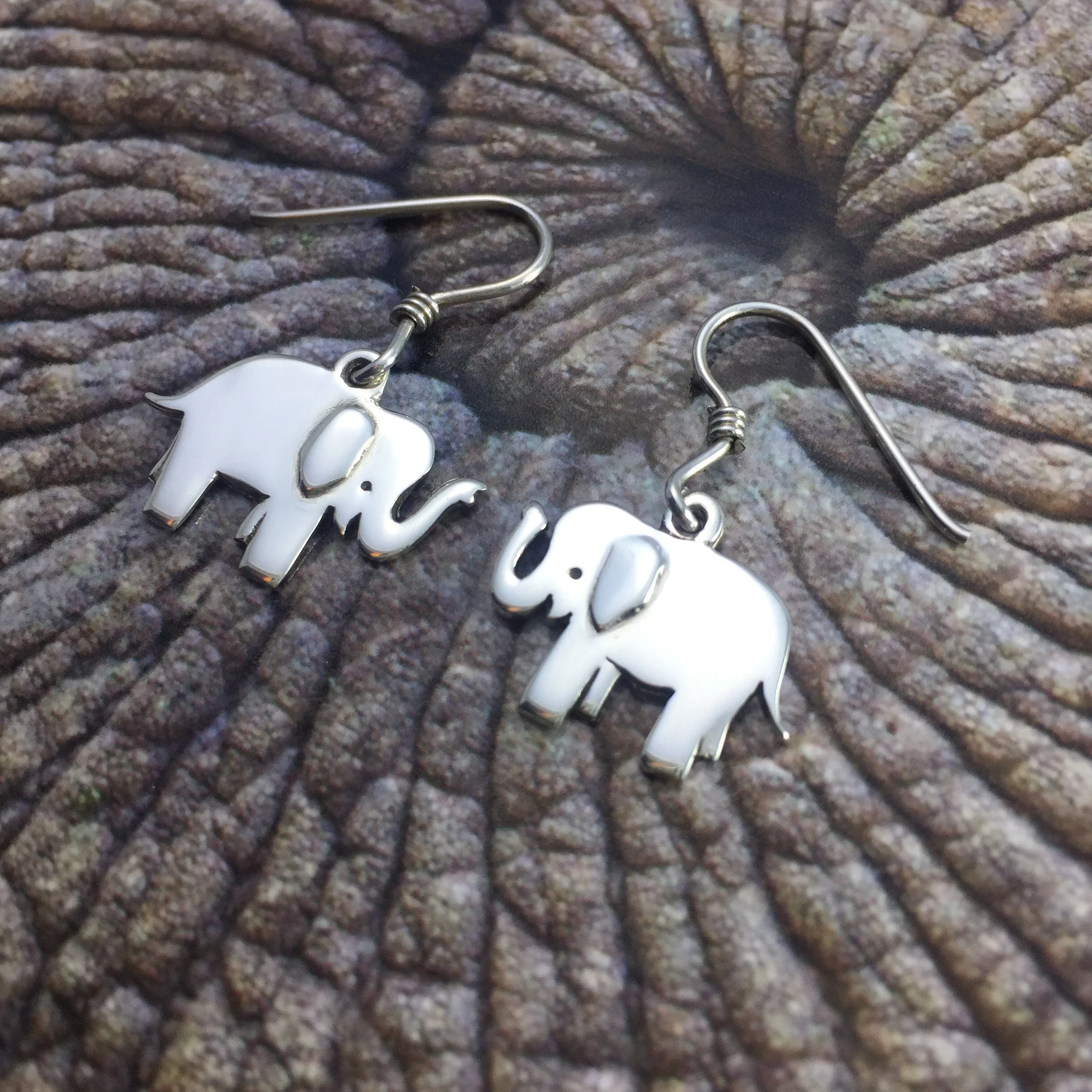 Elephant Earrings On Elephant (3).JPG