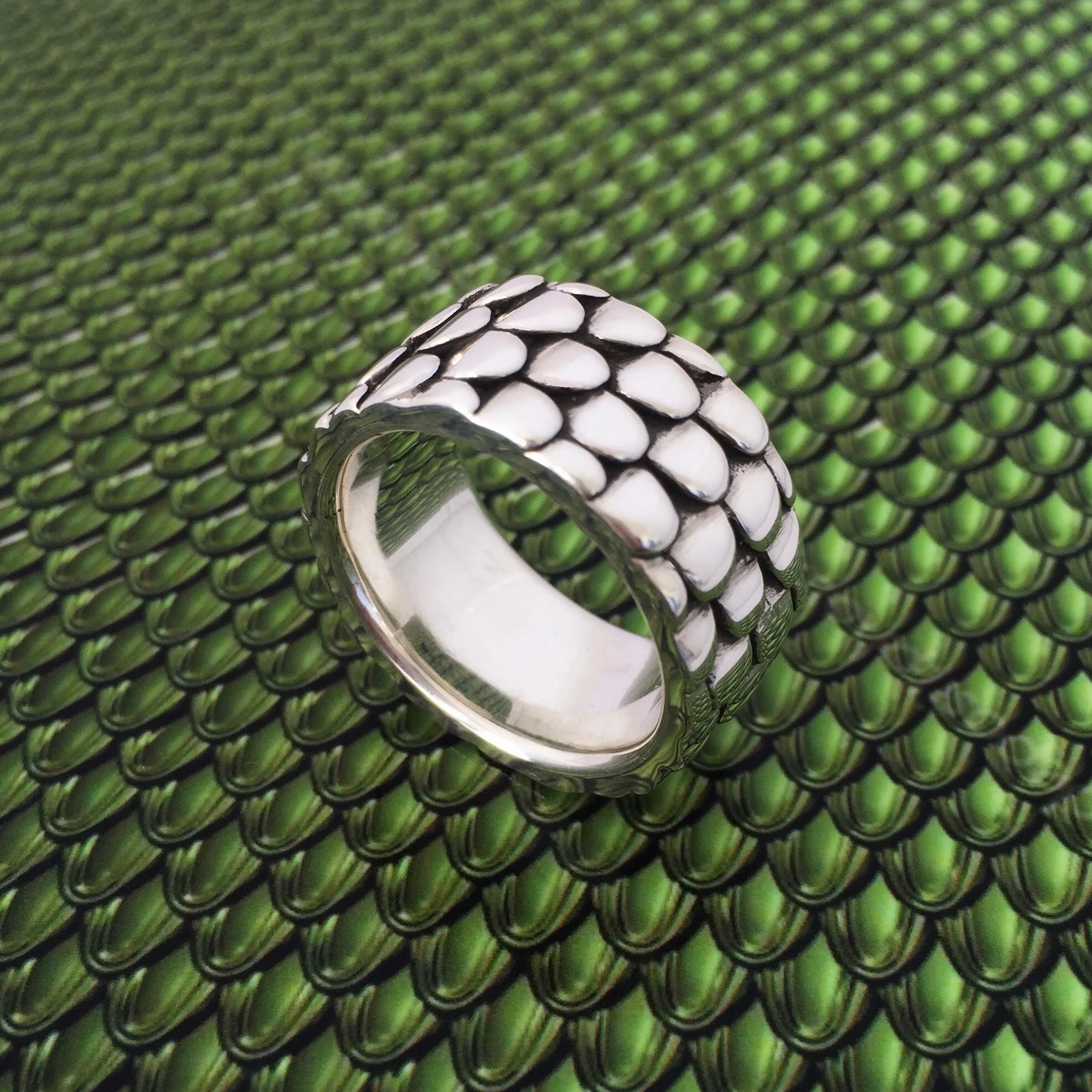 Scale Ring On Scales (2).JPG