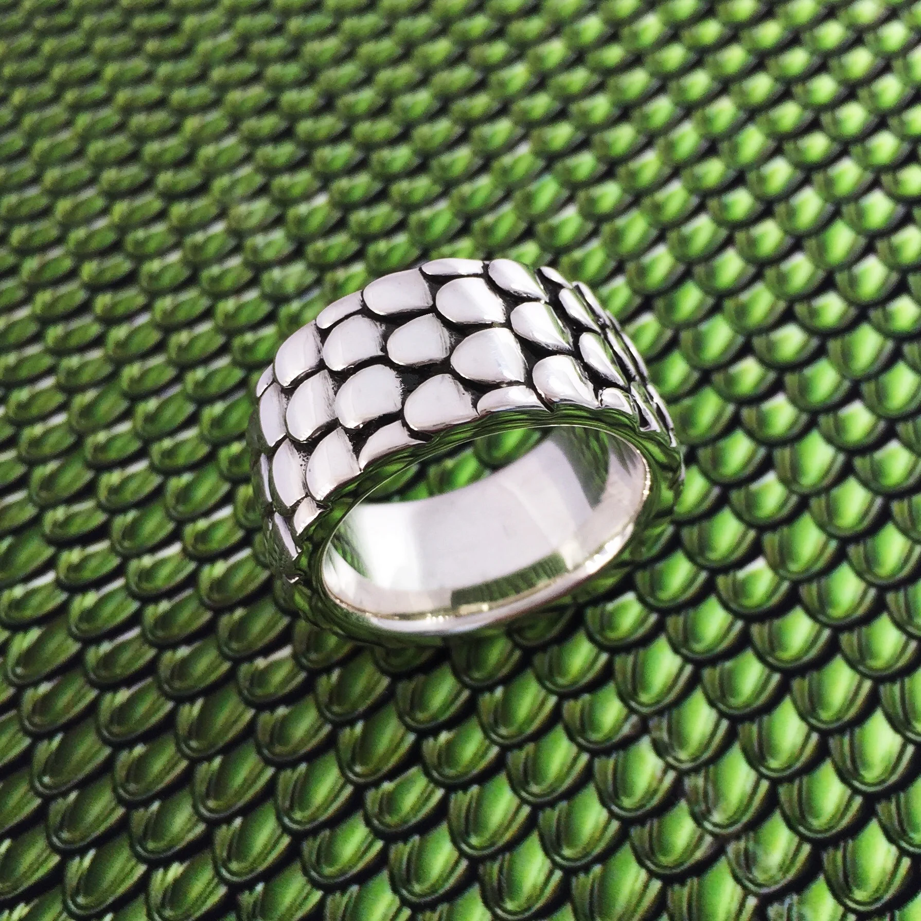 Scale Ring On Scales (4).JPG