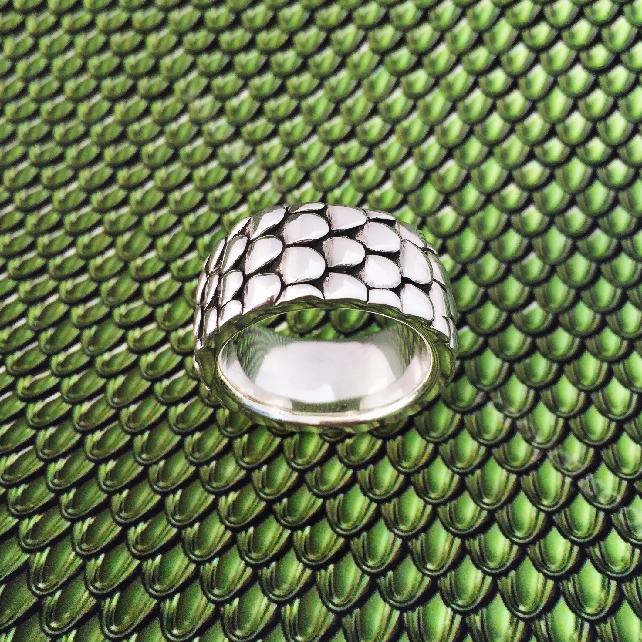 Scale Ring On Scales (3).JPG