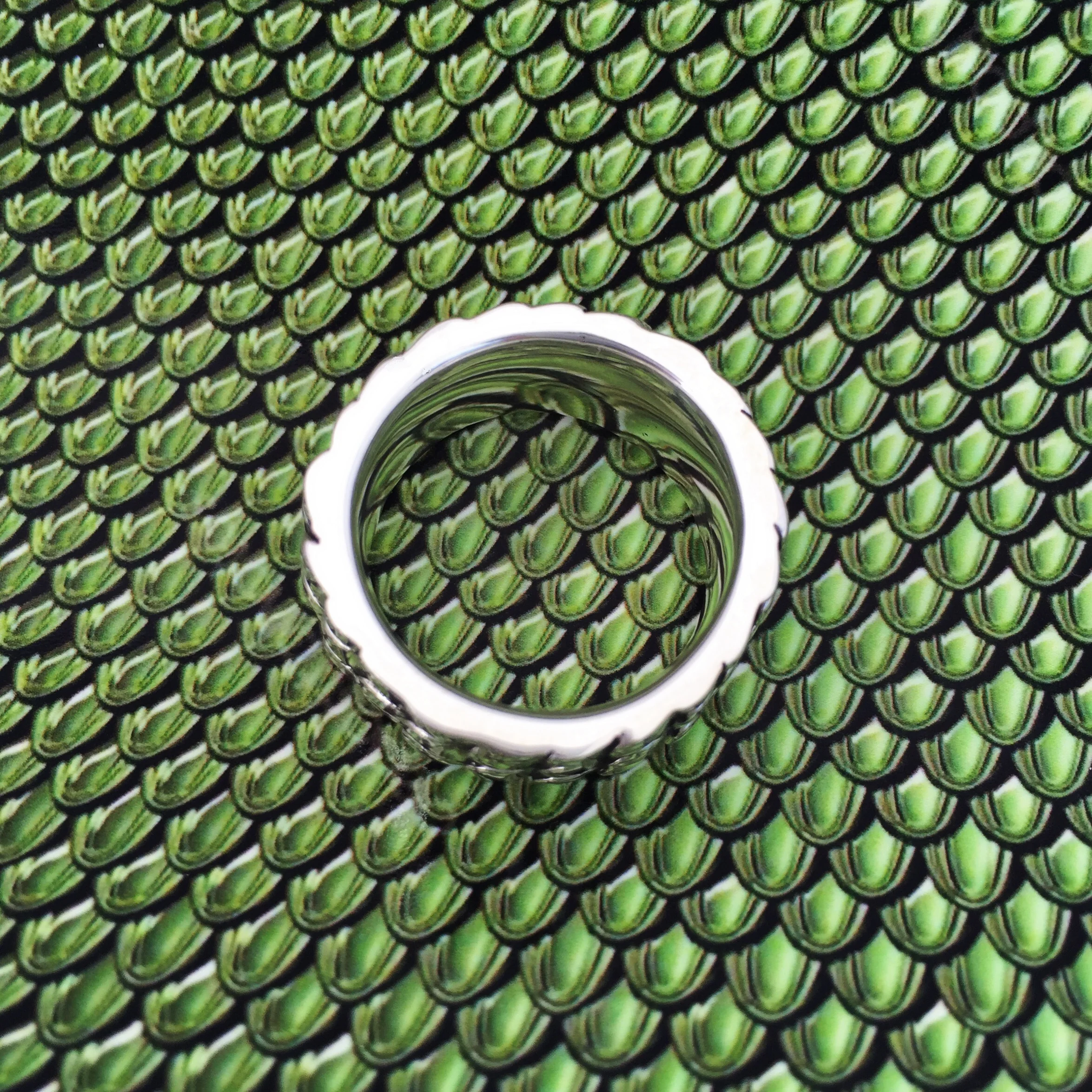 Scale Ring On Scales (5).JPG