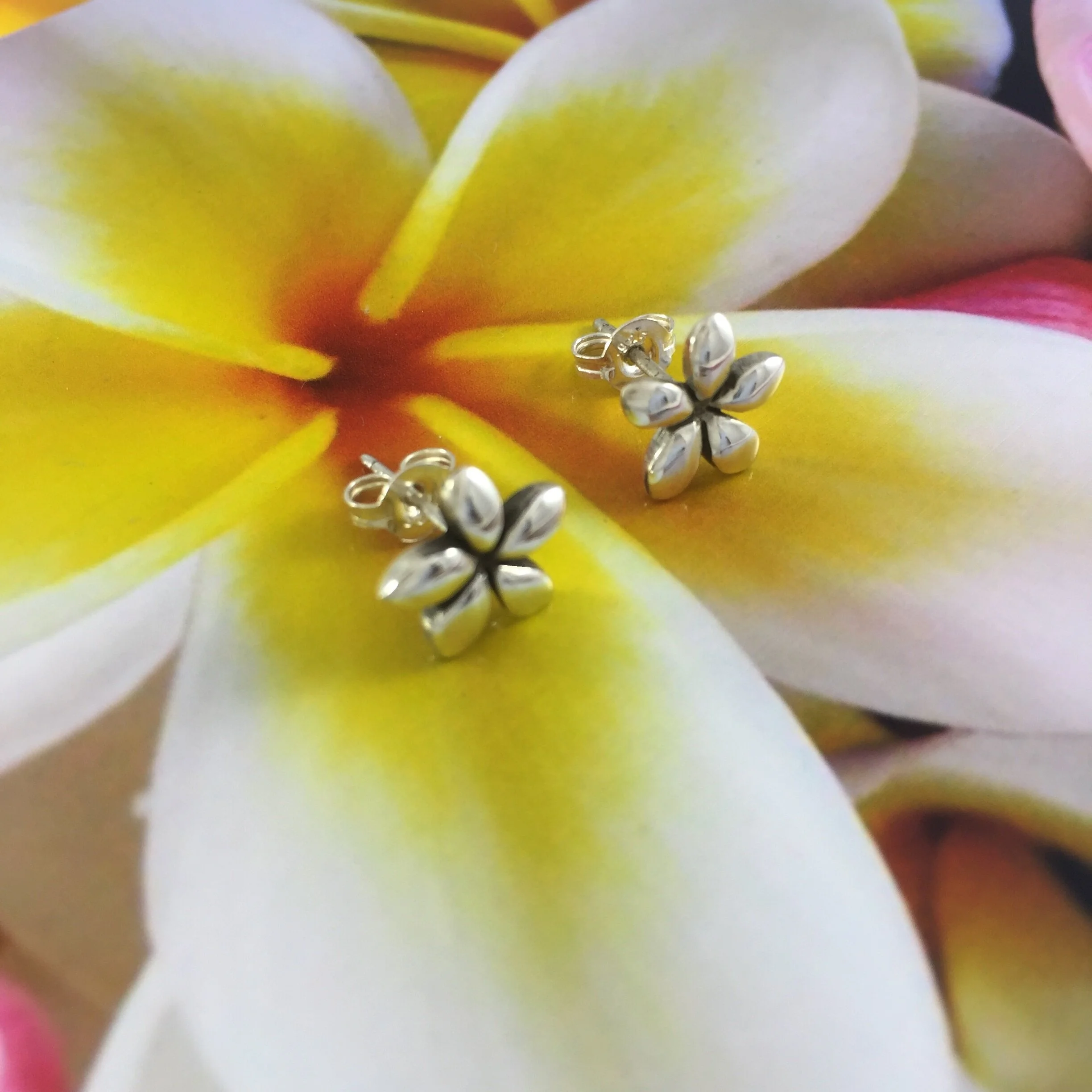 Frangipani Studs Small (1).JPG