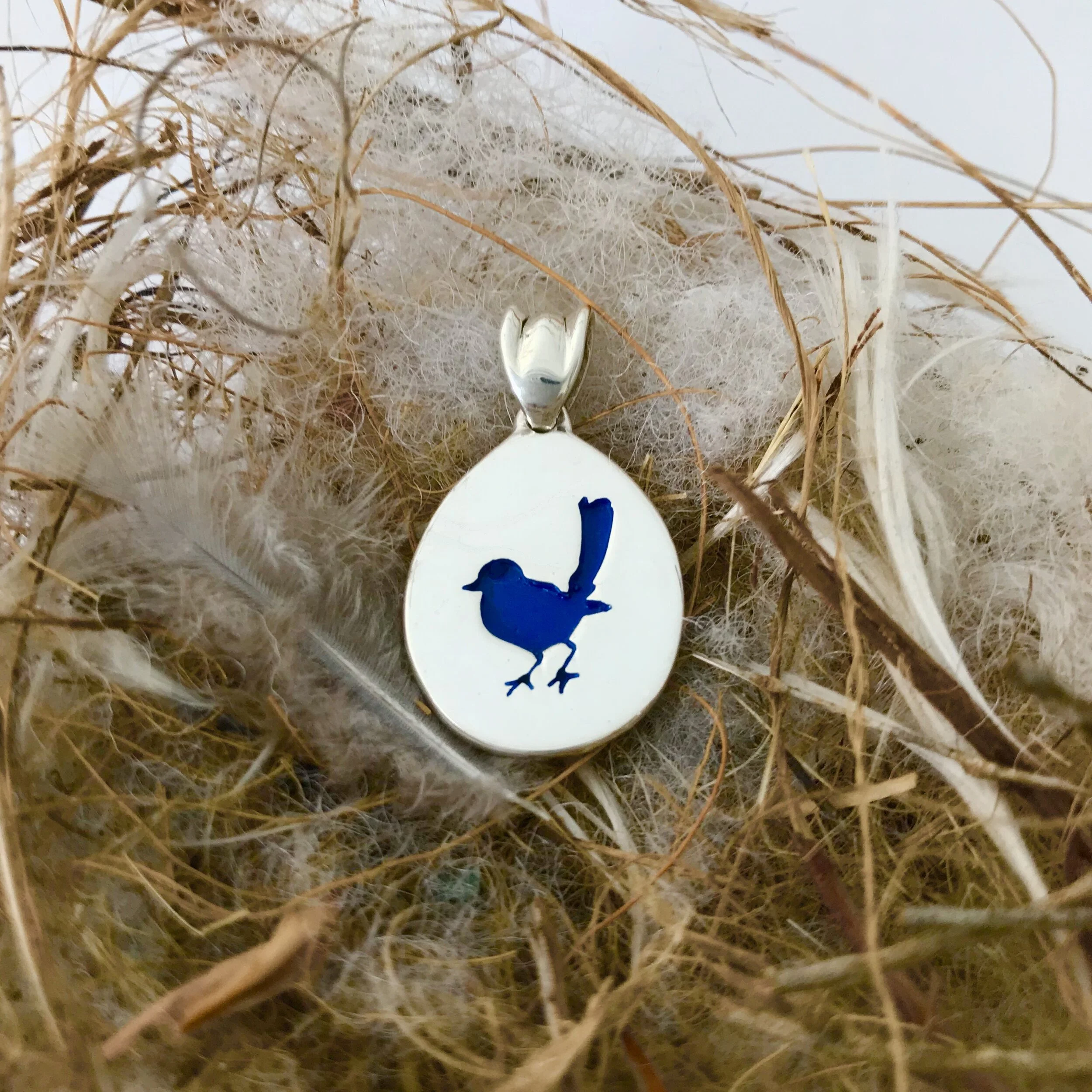 Blue Wren in Nest .jpg