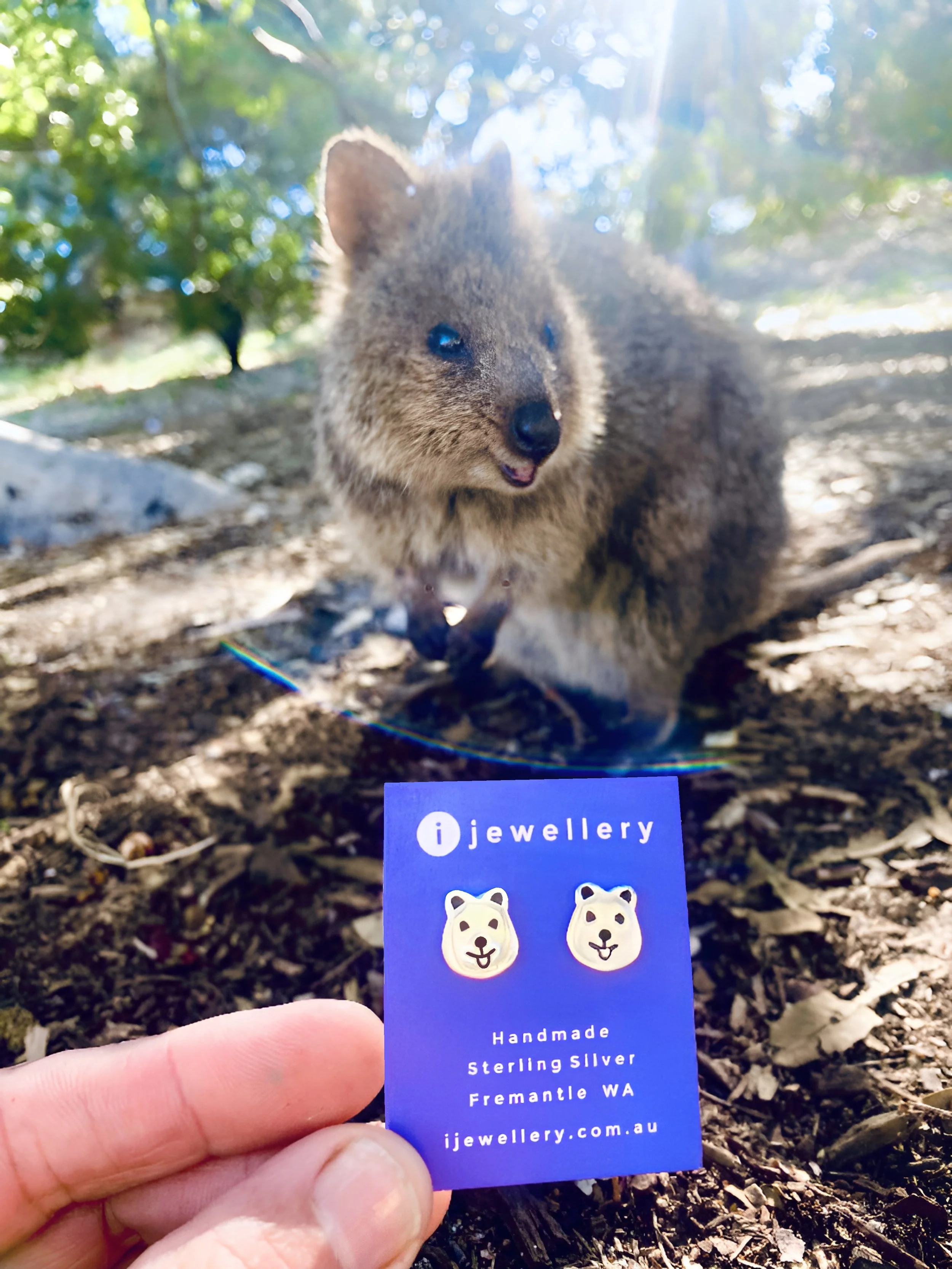 Quokka Selfie.JPG