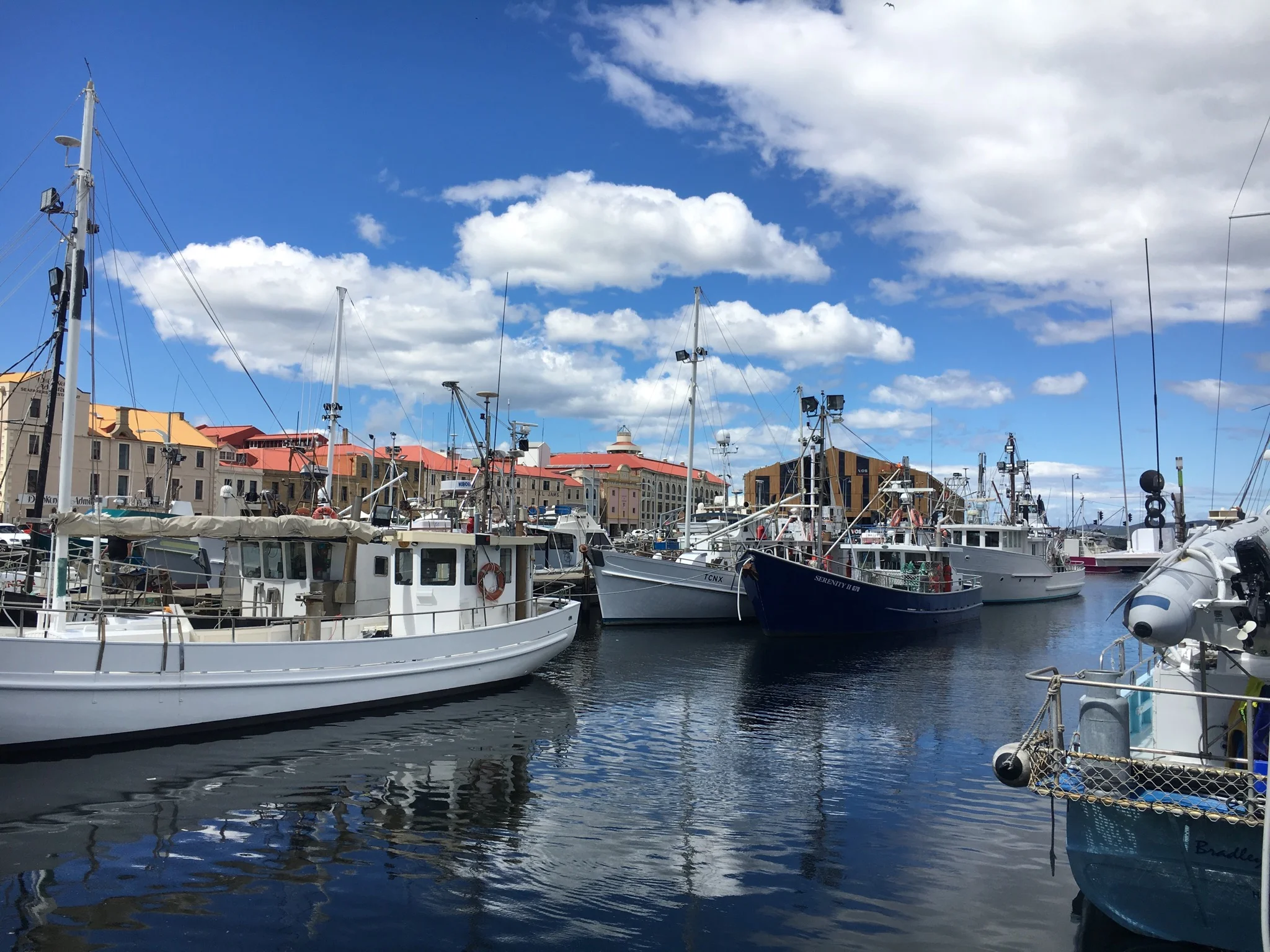 A great week in Tassie!