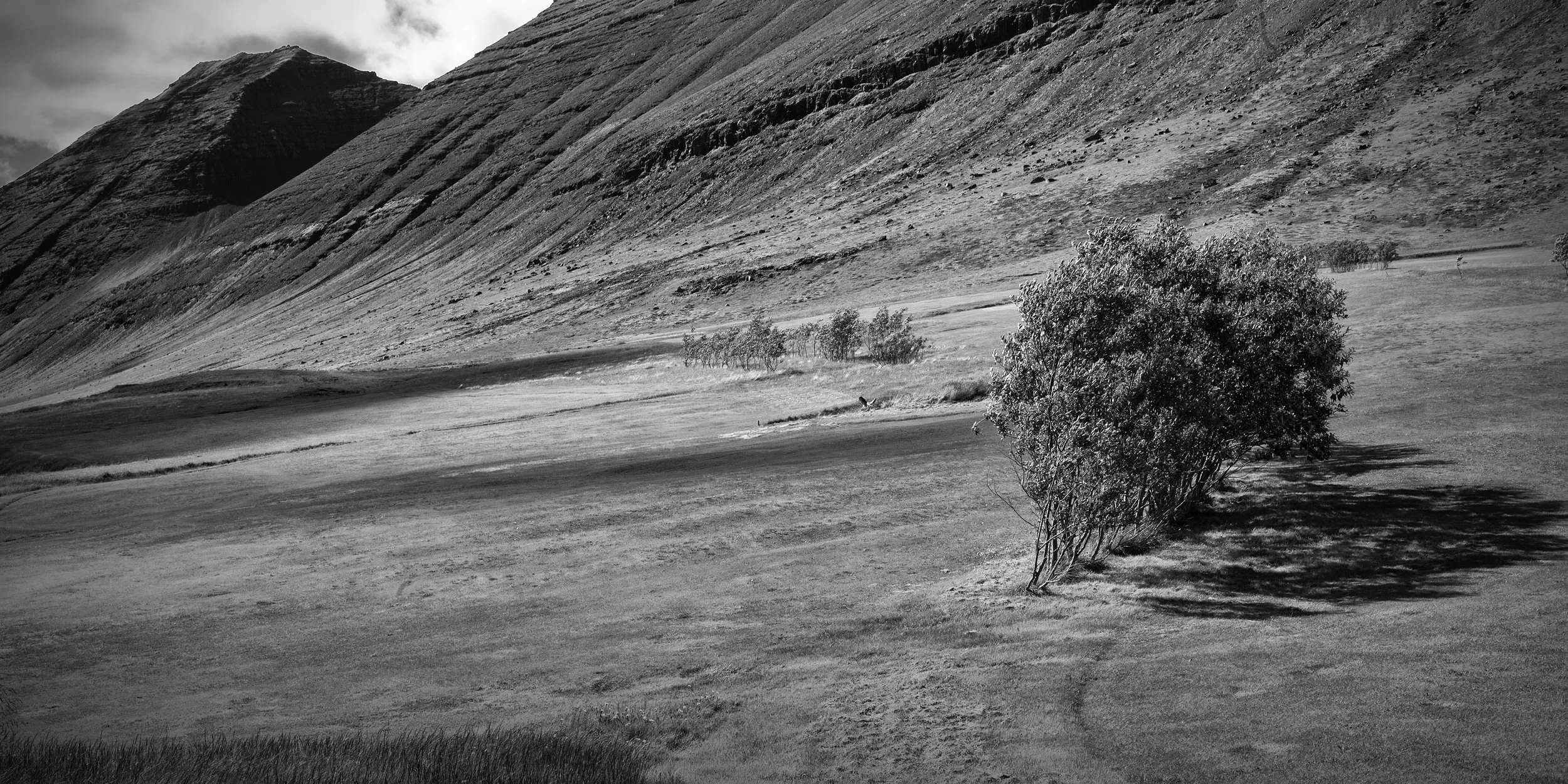 Þingeyri, Iceland (2016)