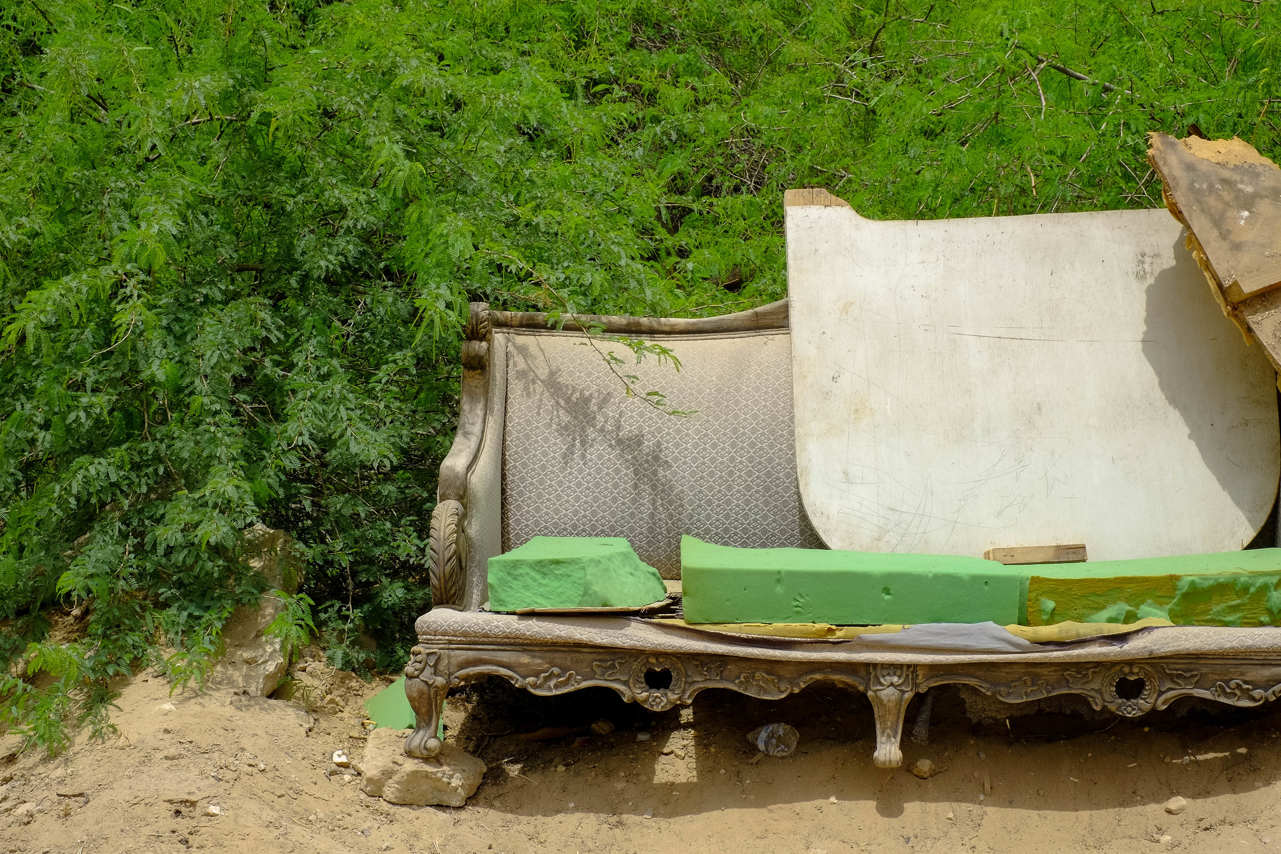 DSCF1571.jpg