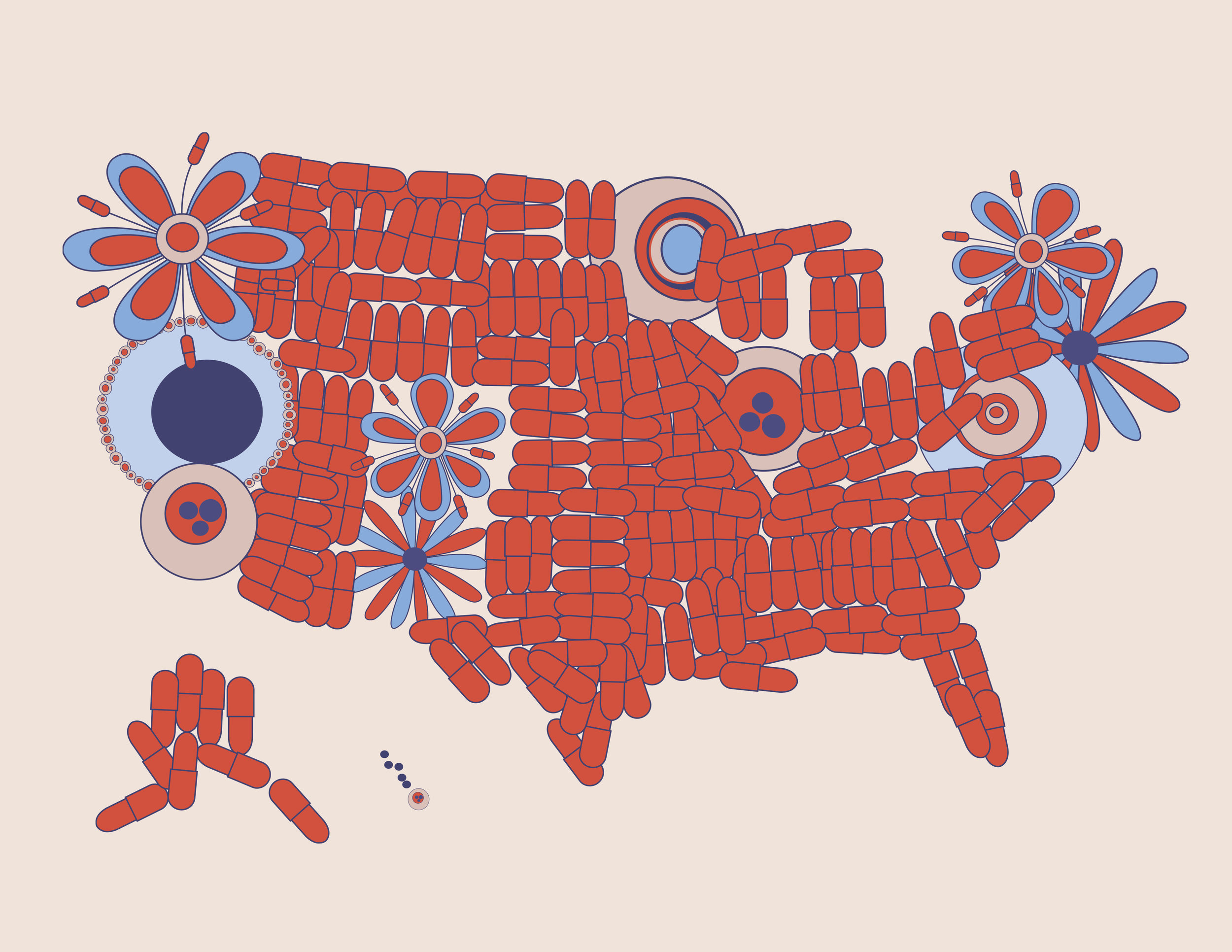Electoral College , 2017 Archival pigment on paper Limited edition of 10 + 2AP 22 x 17 in (55.88 x 43.18 cm) Inquiries
