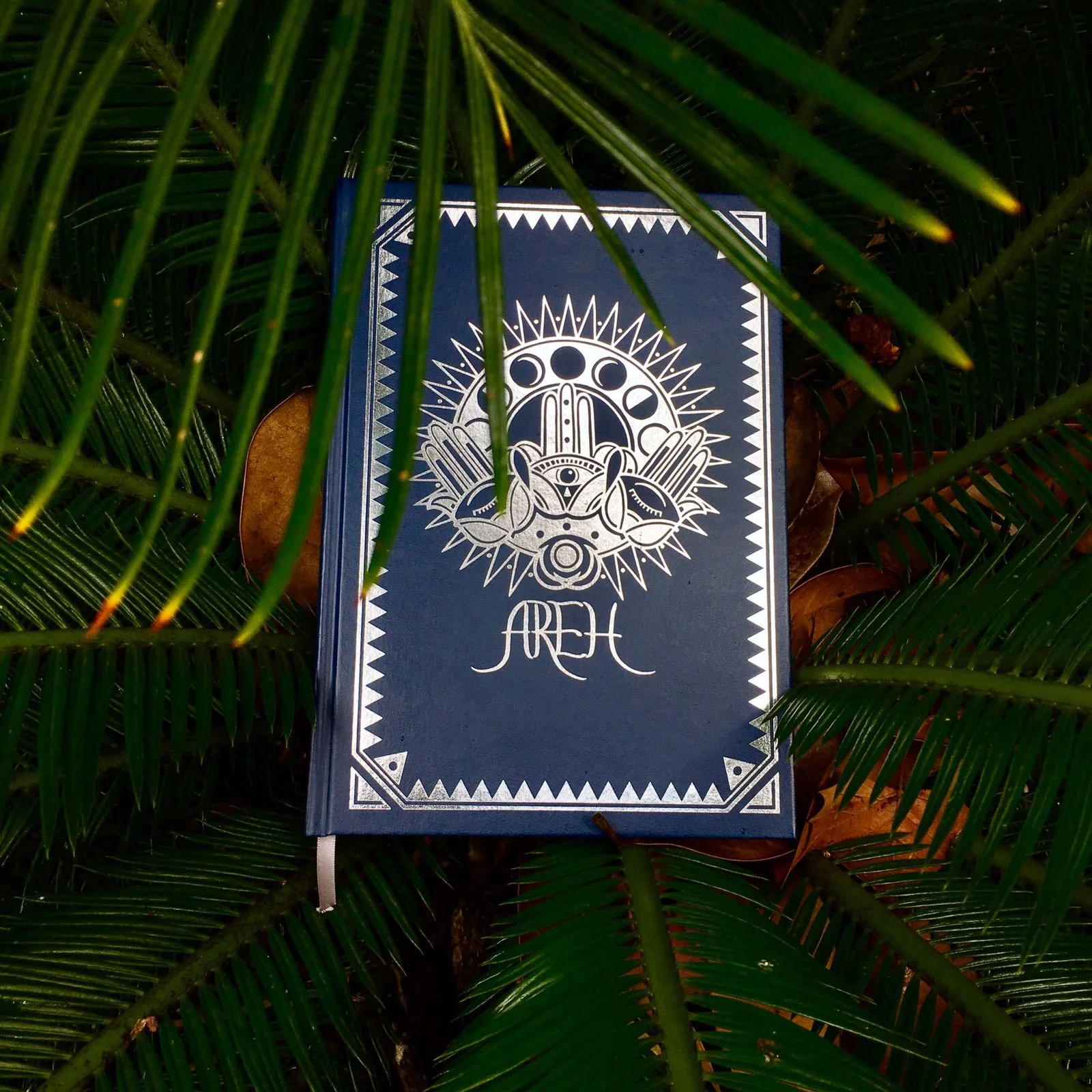 File 15-02-2017, 8 15 12 pm.jpeg