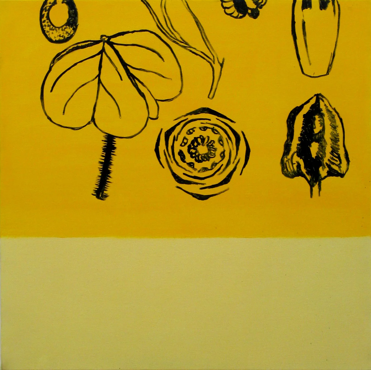 Untitled (Oxalis)