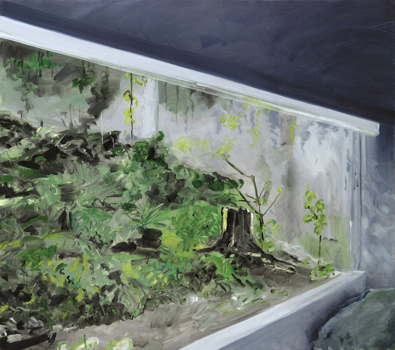 Vitrine