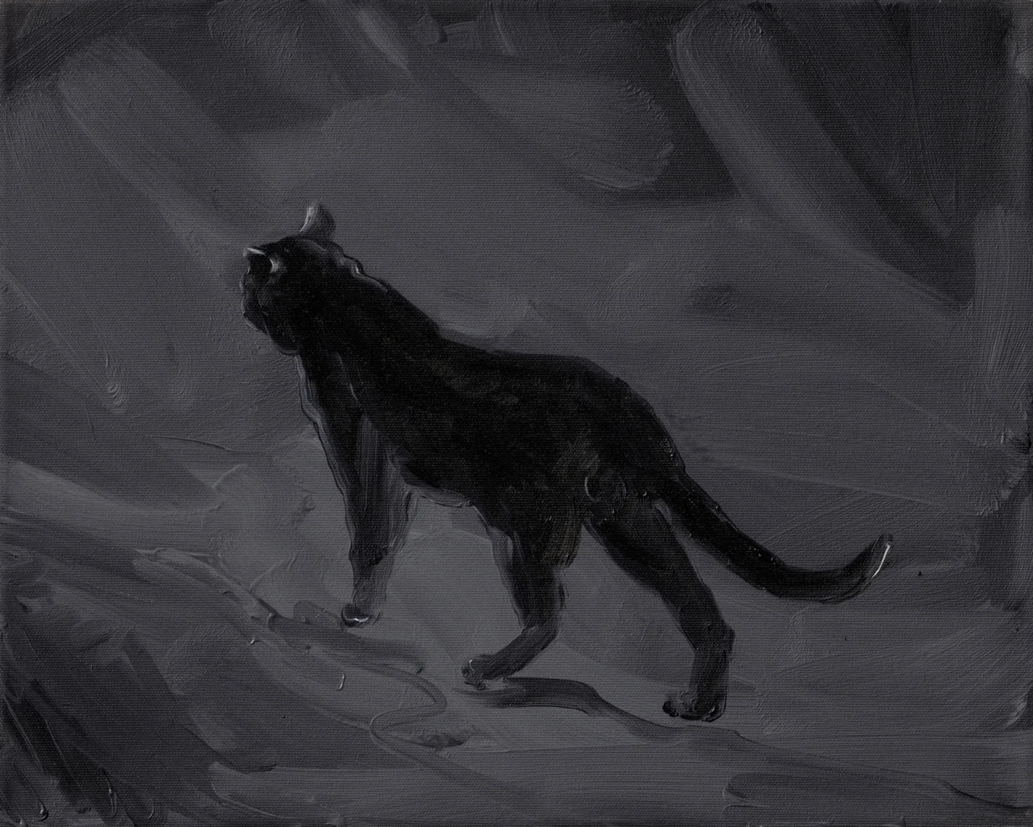 Black Cat