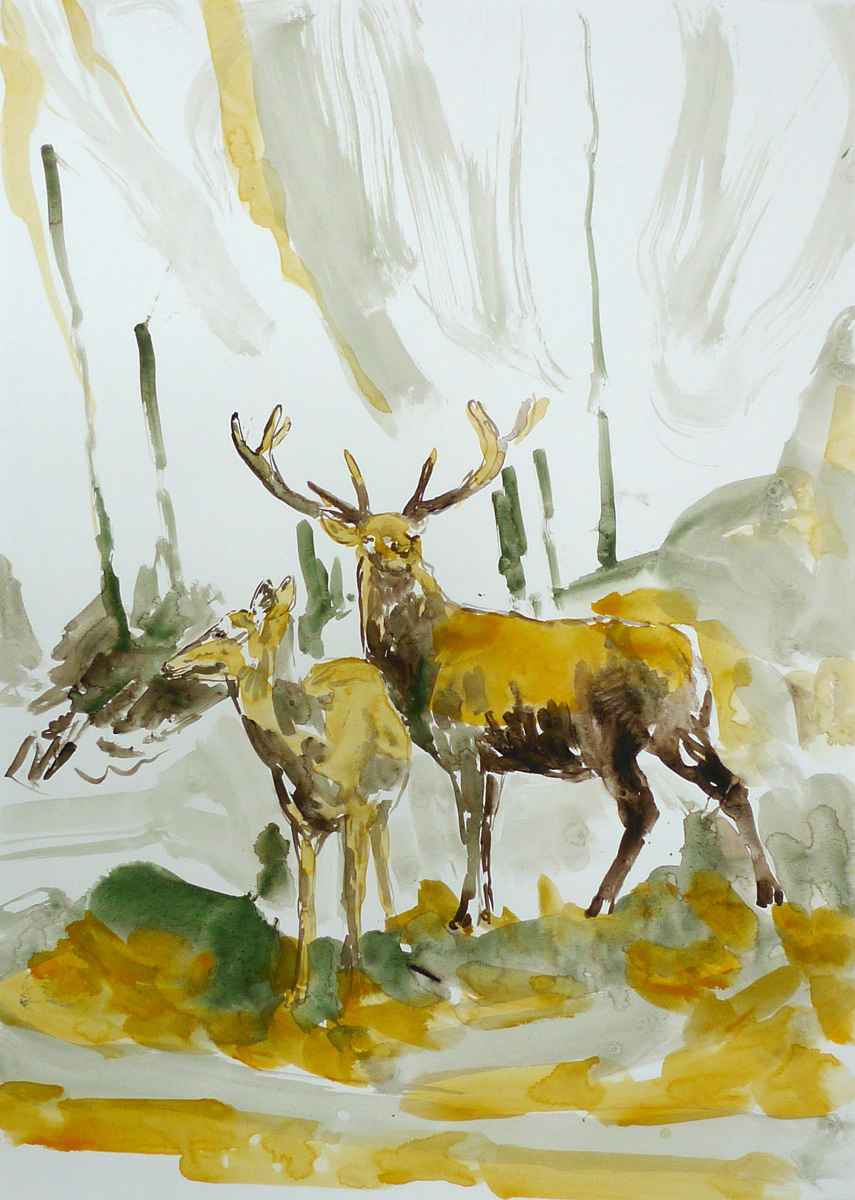 Two Deers in the Wood