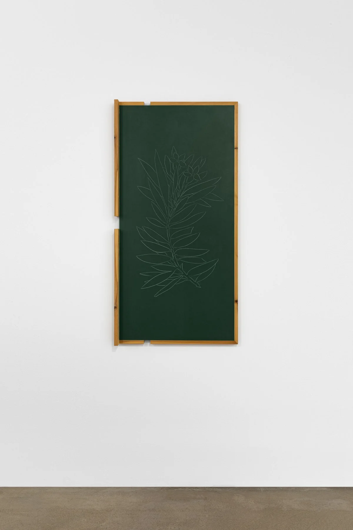 _Y5A1469- screen size.jpg