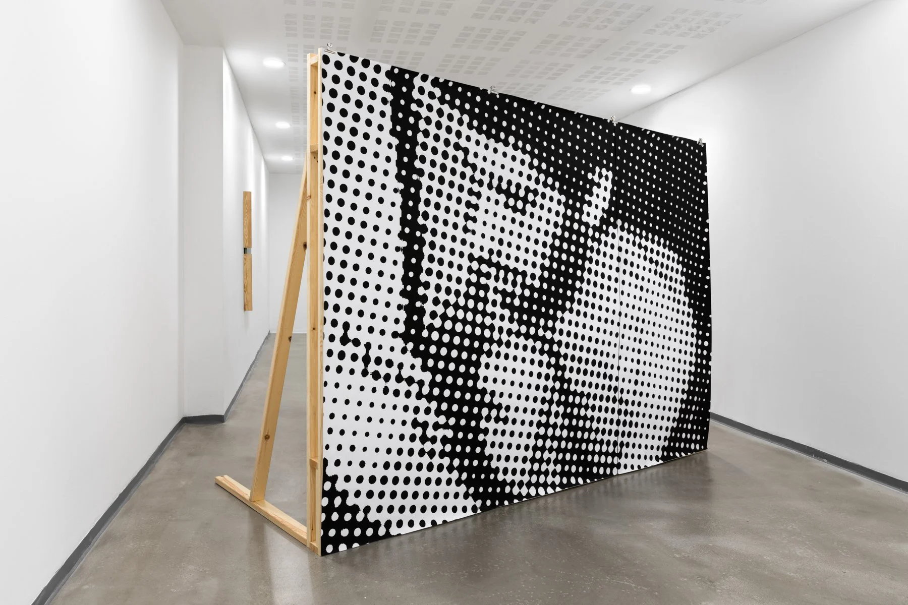 _Y5A1534- screen size.jpg