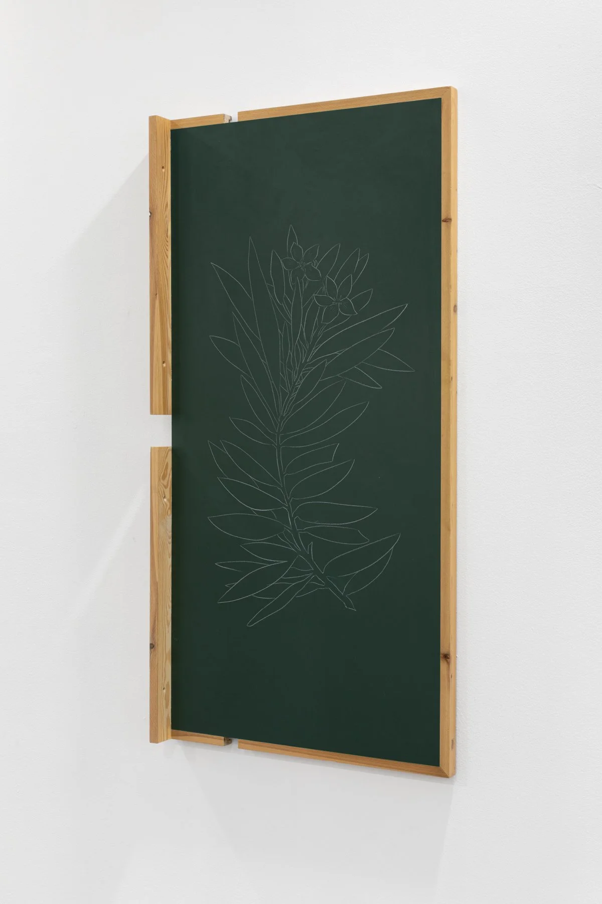 _Y5A1606- screen size.jpg