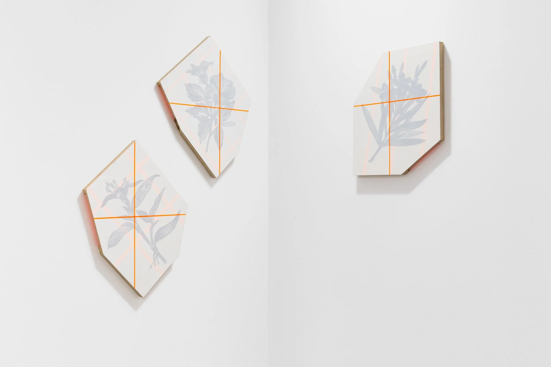 _Y5A1399-2- screen size.jpg